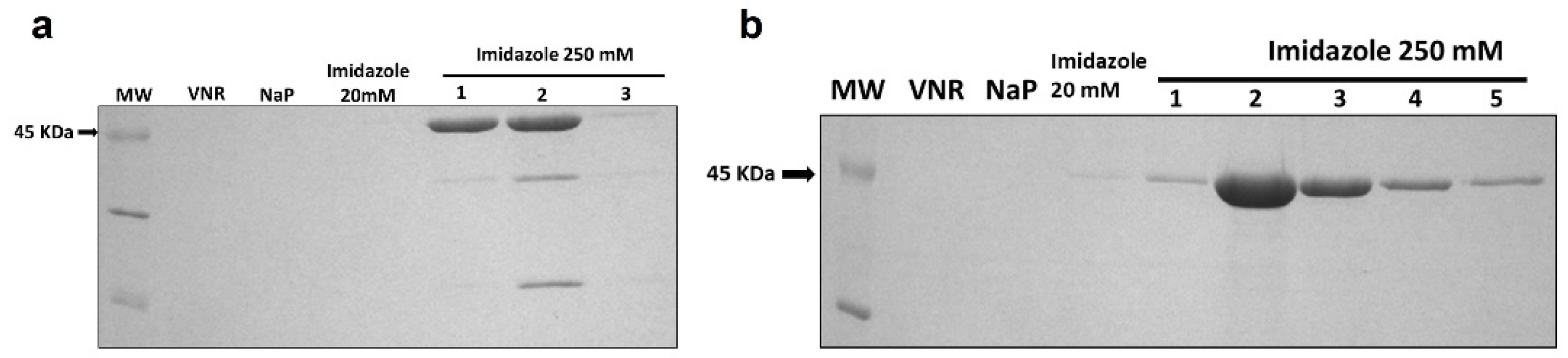Cancers 15 01114 g002