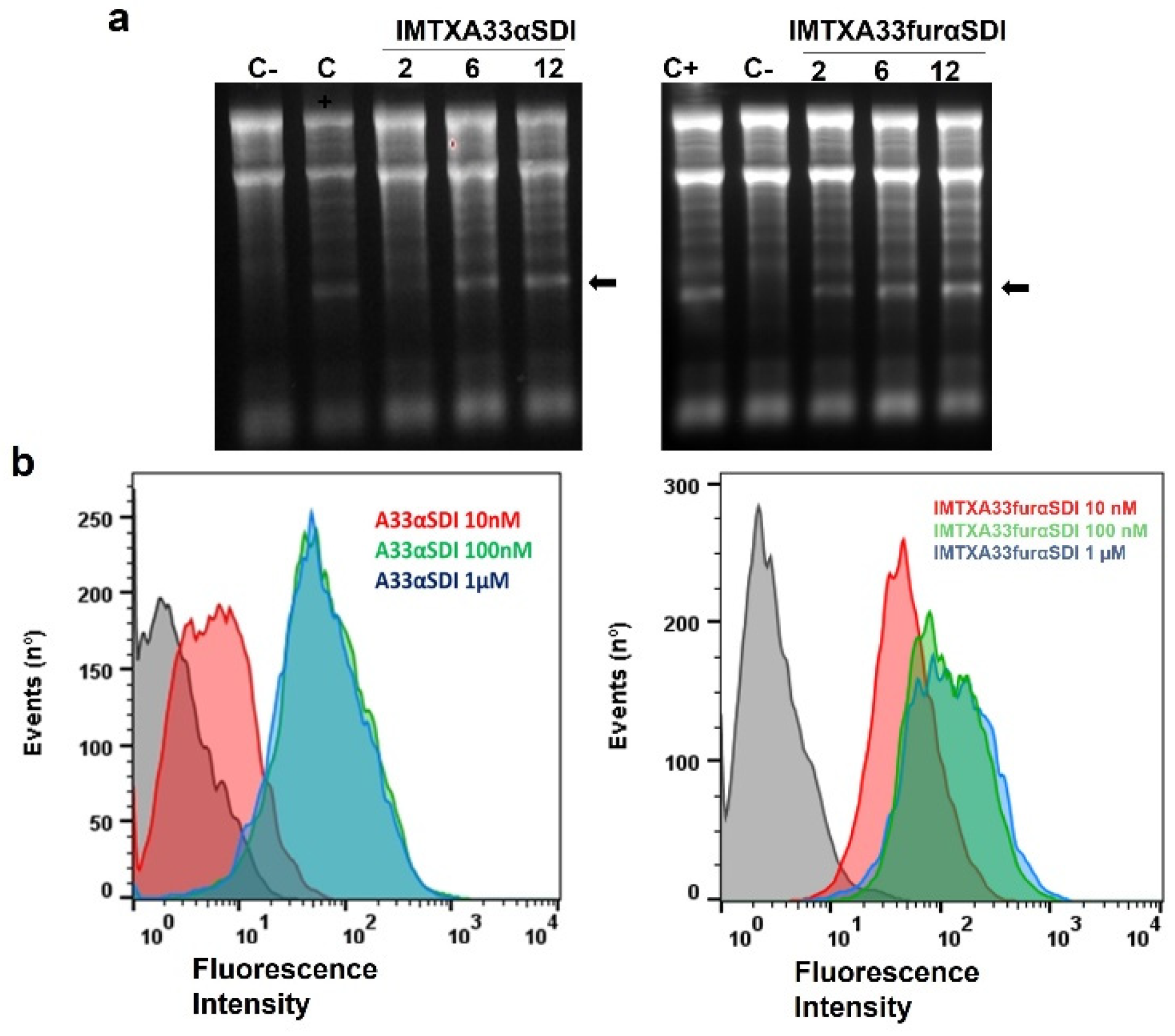 Cancers 15 01114 g004