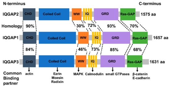 Cancers 15 01115 g001