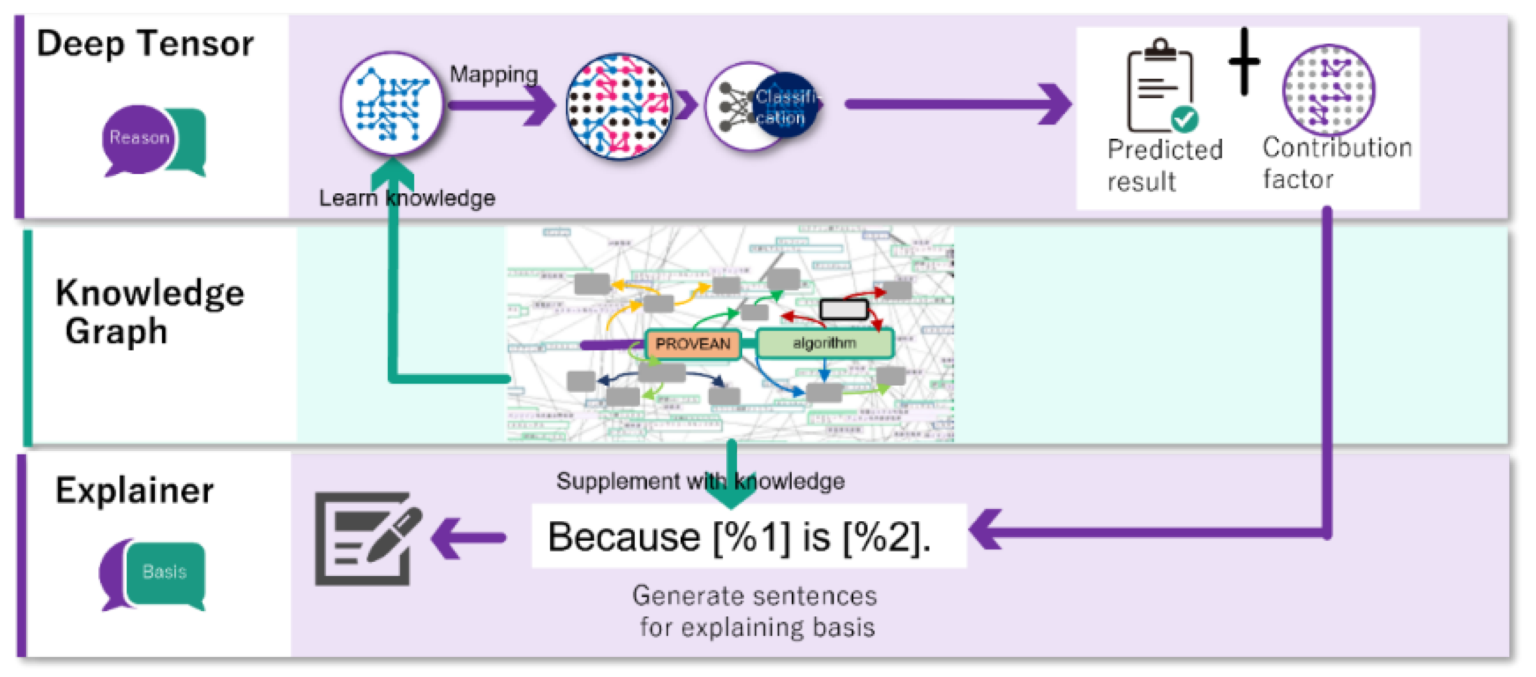 Cancers 15 01118 g001