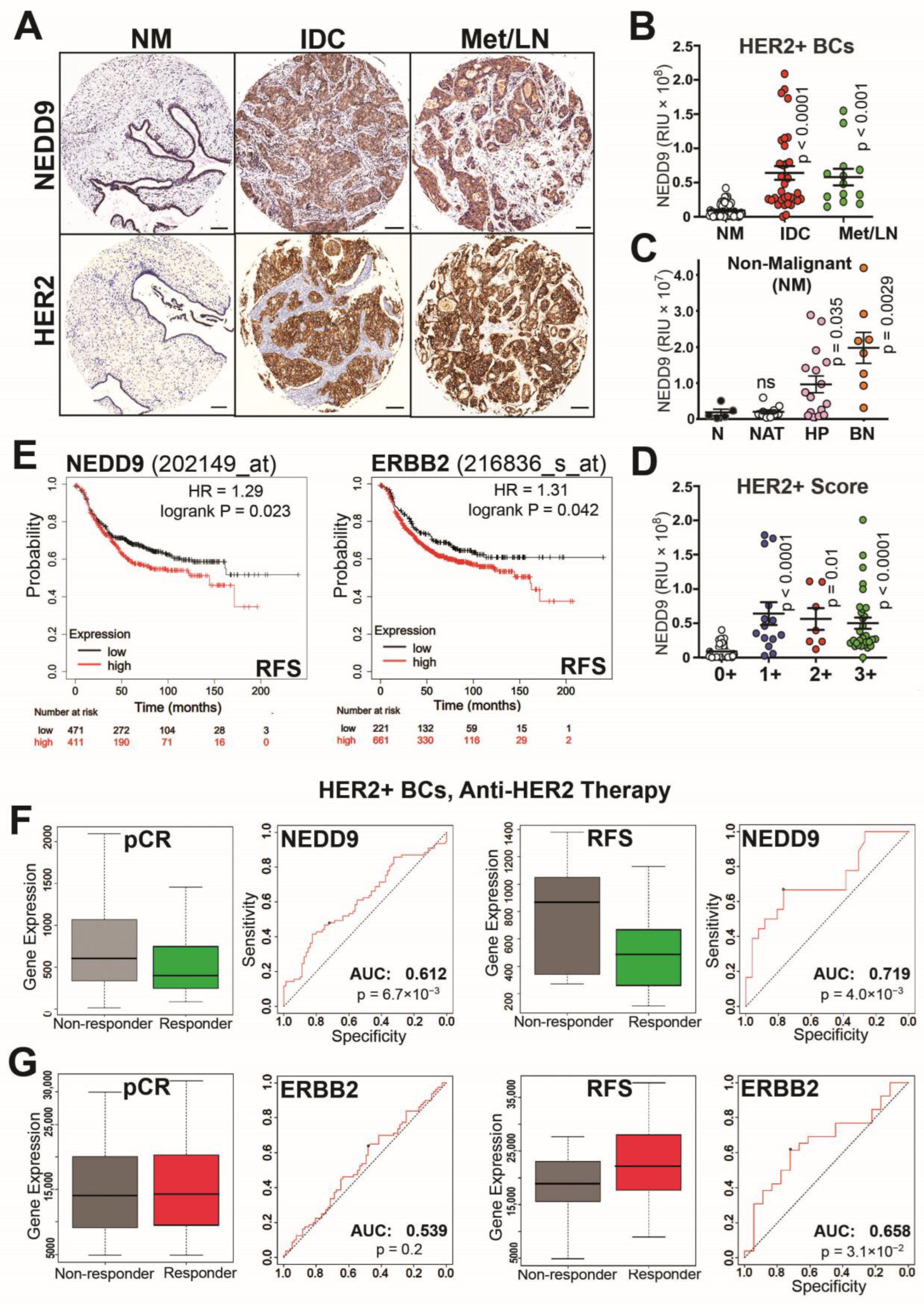 Cancers 15 01119 g001