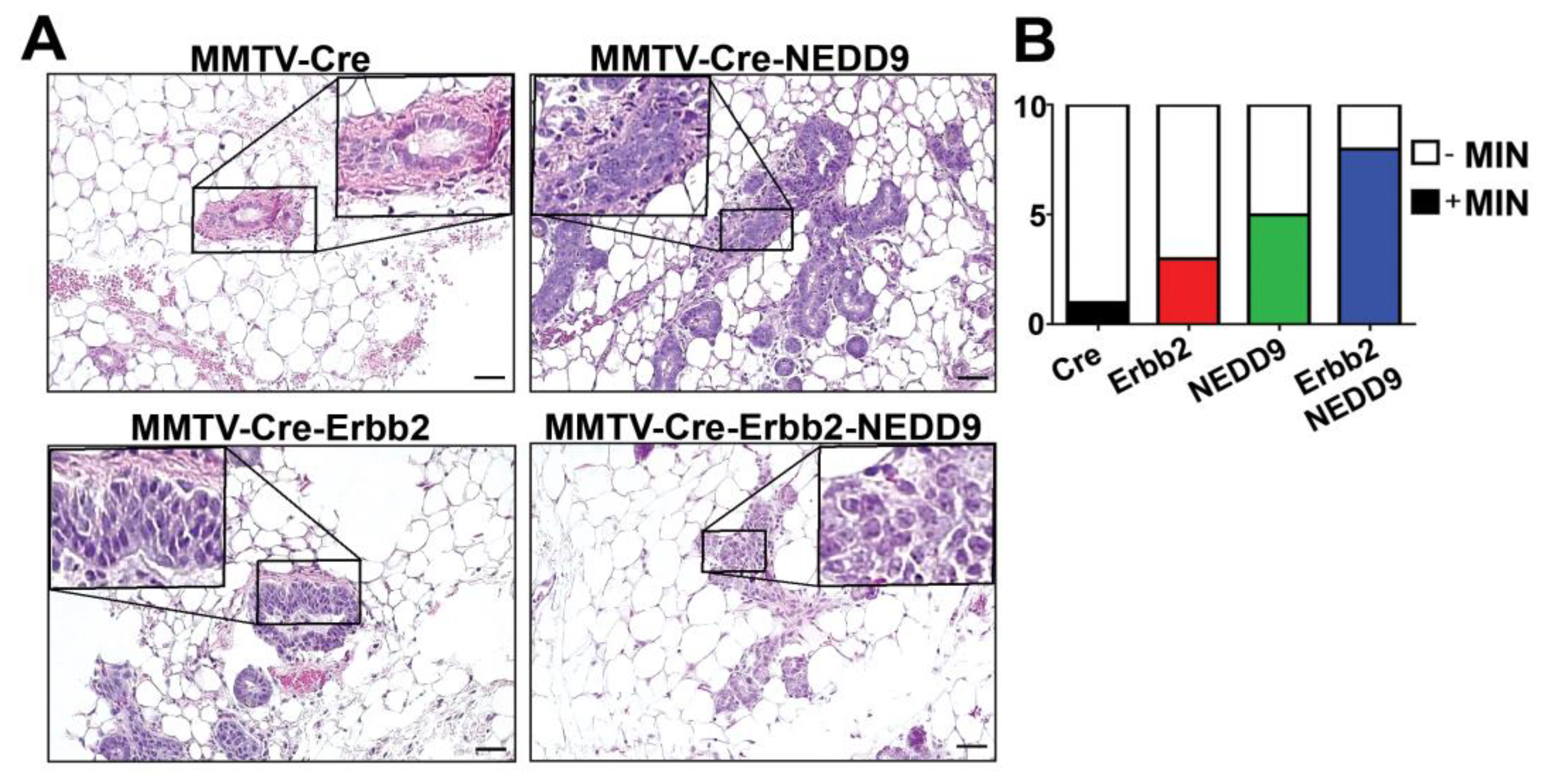 Cancers 15 01119 g004