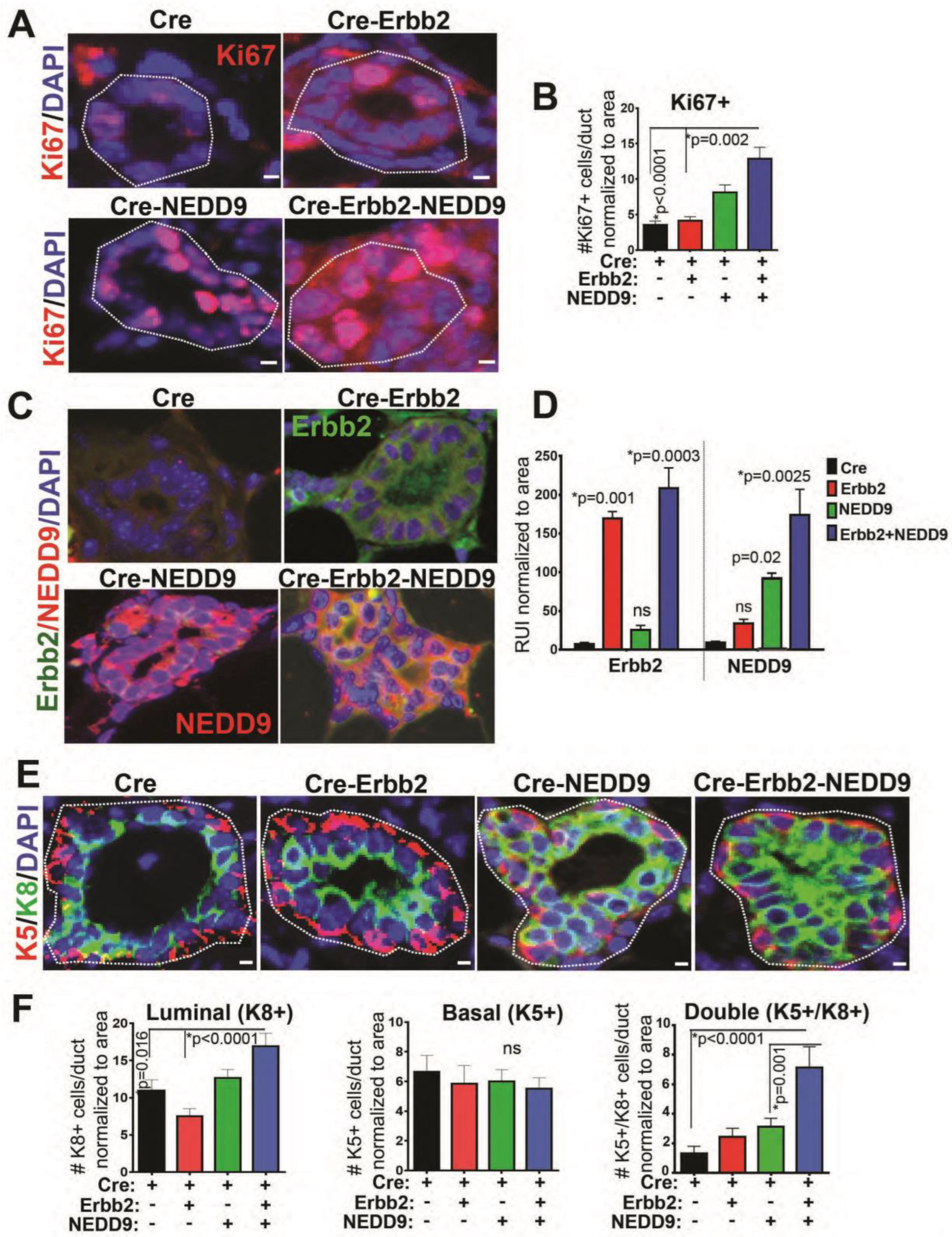 Cancers 15 01119 g005