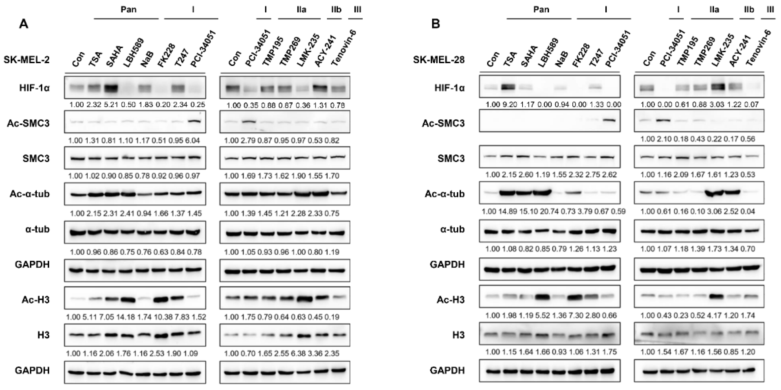 Cancers 15 01123 g001