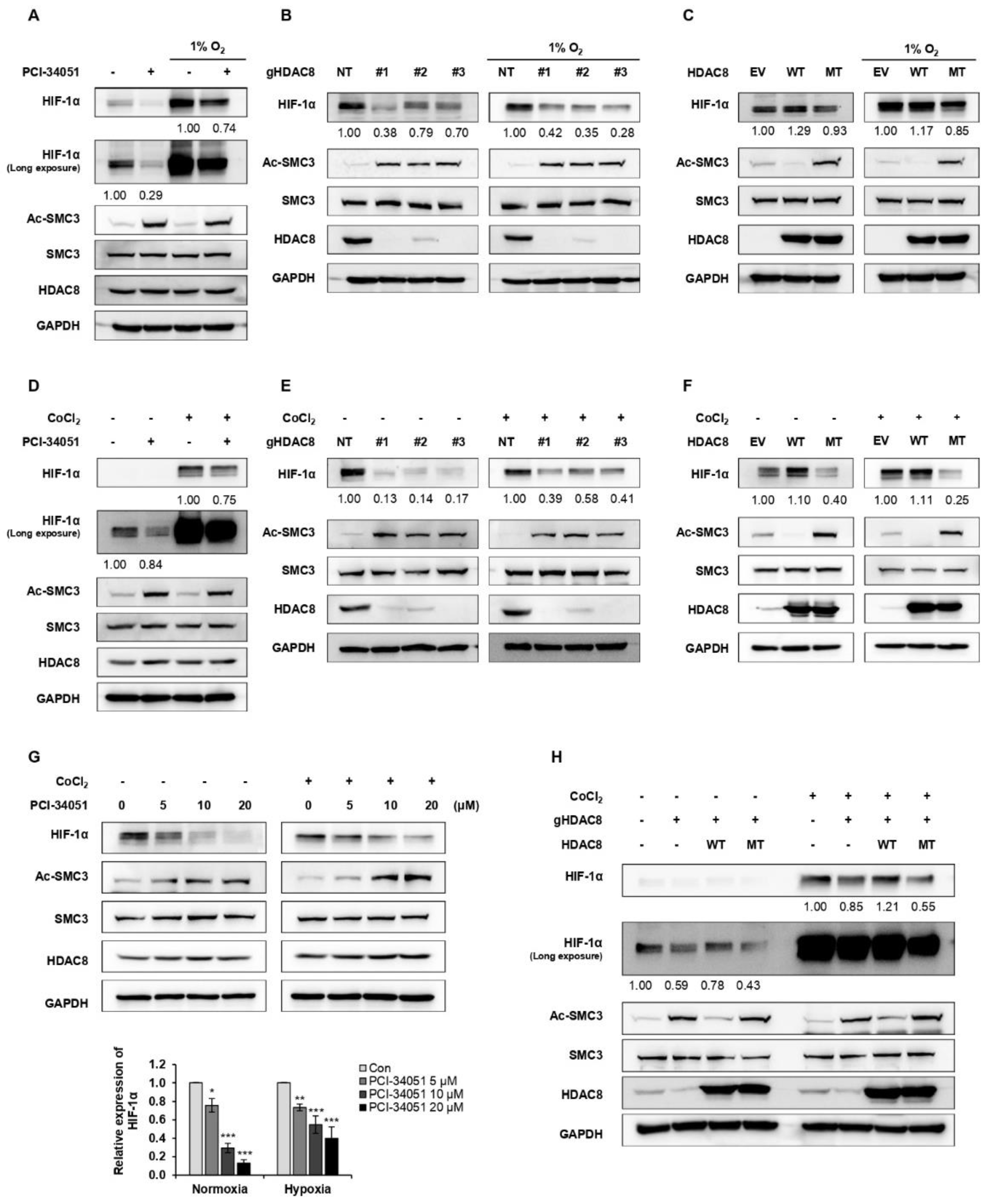 Cancers 15 01123 g002