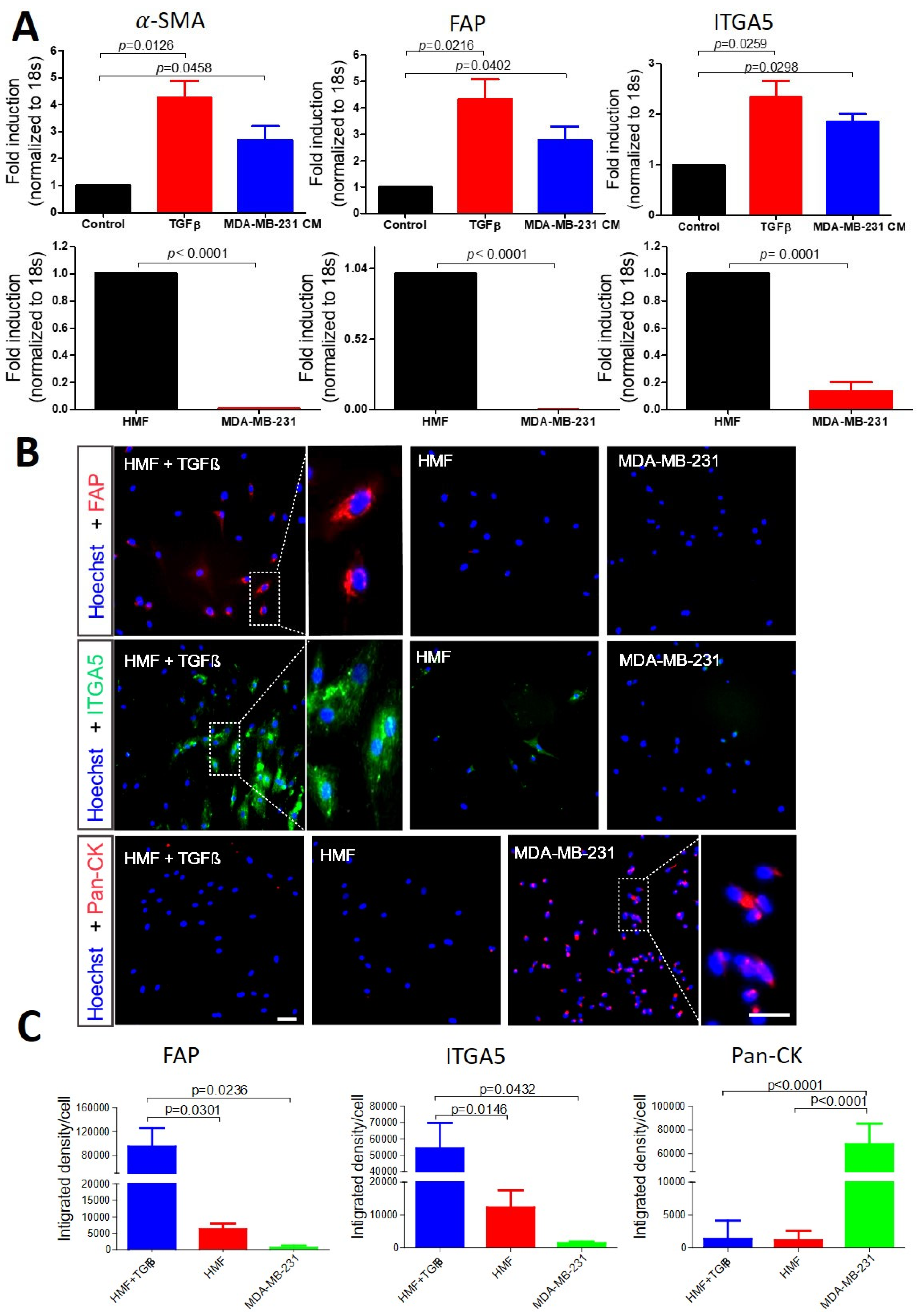 Cancers 15 01127 g001