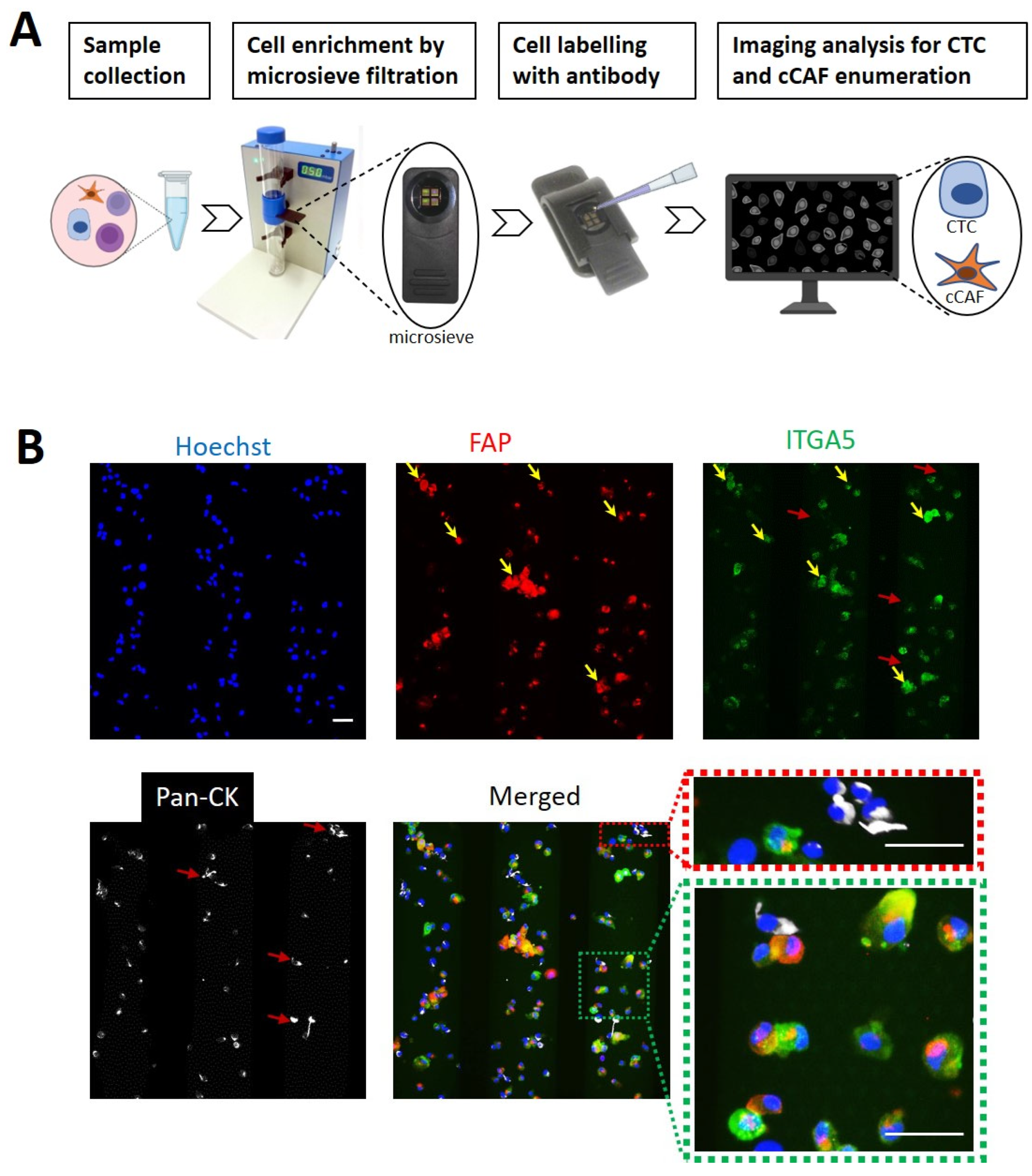 Cancers 15 01127 g002