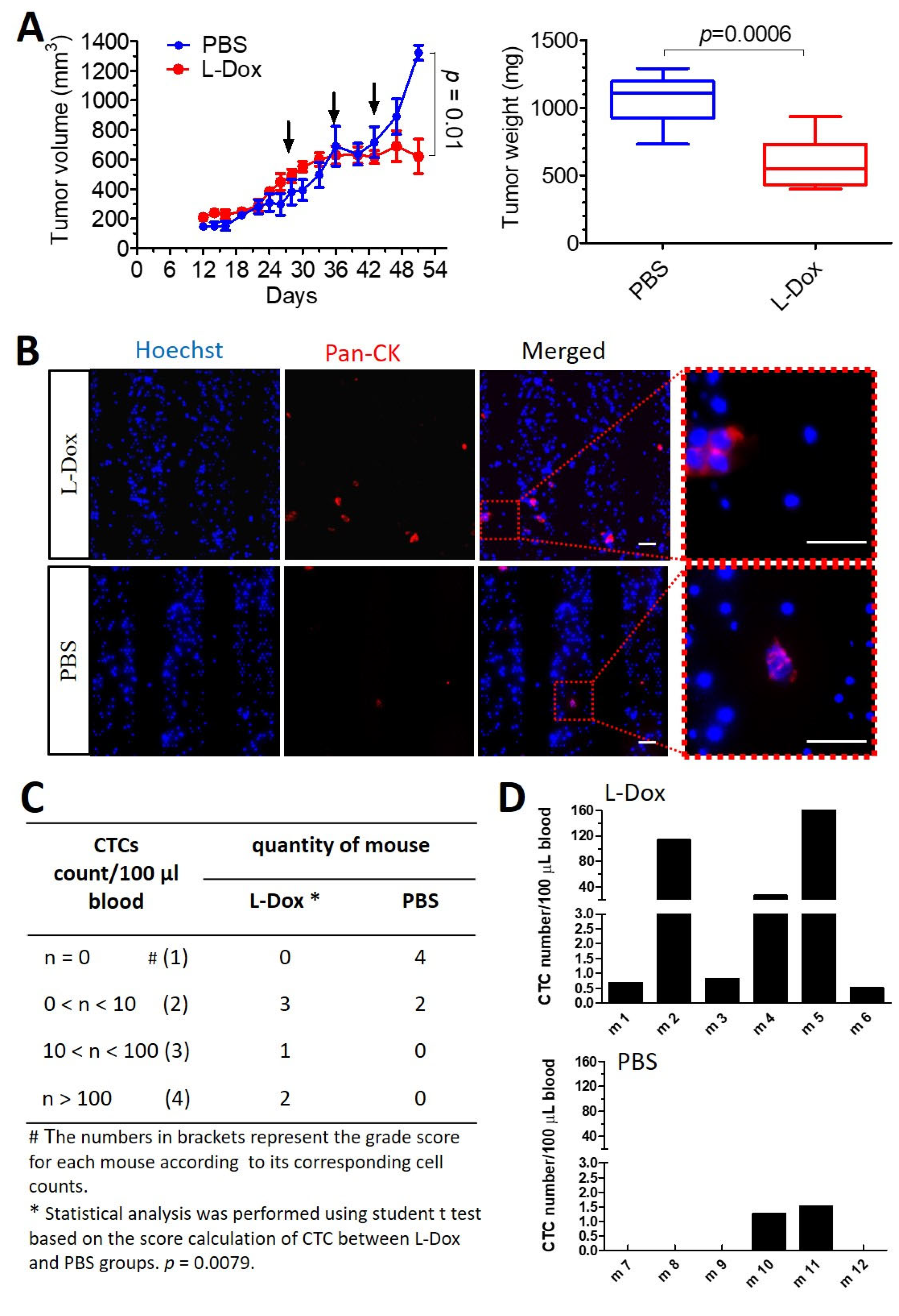 Cancers 15 01127 g004