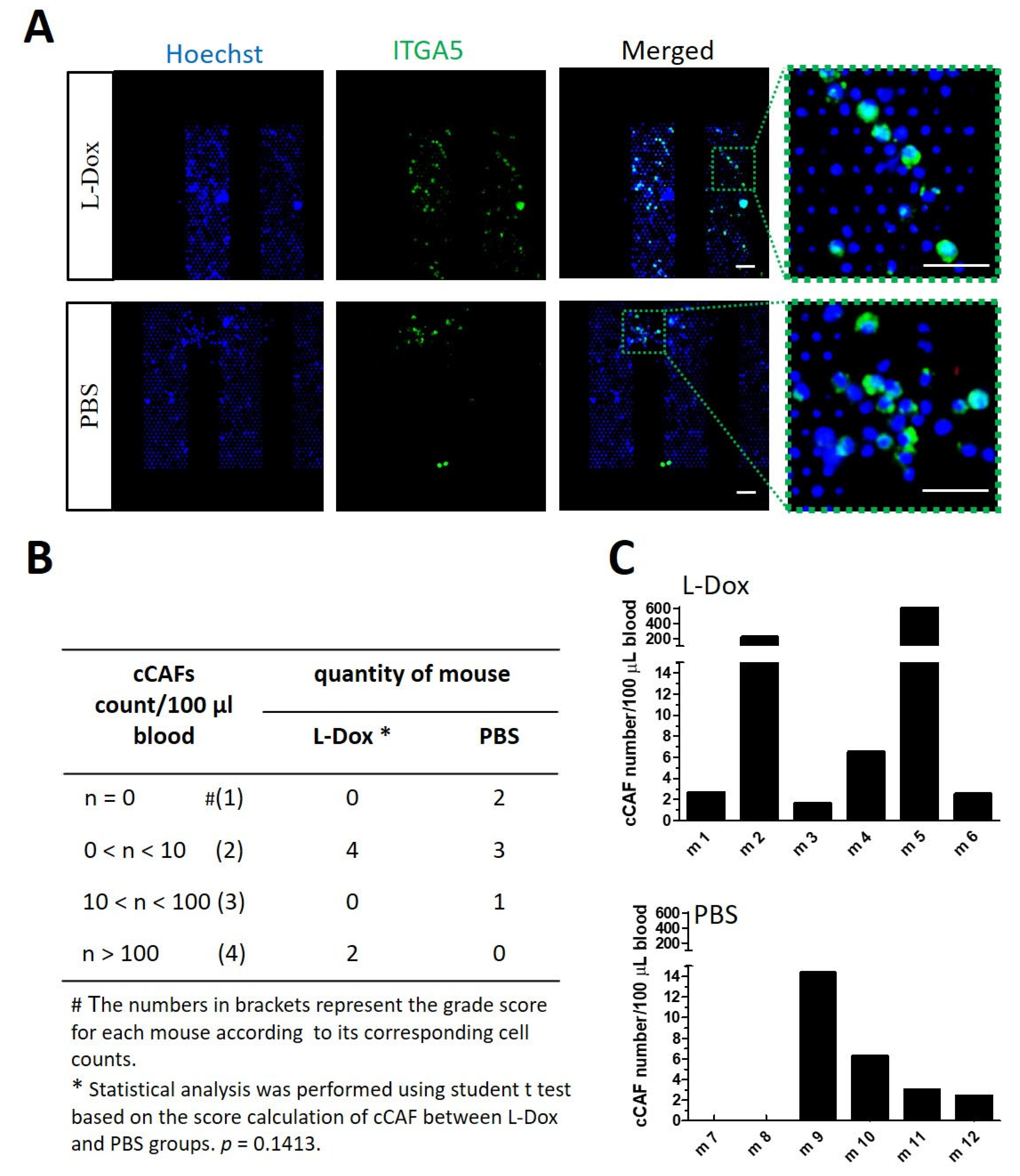 Cancers 15 01127 g005