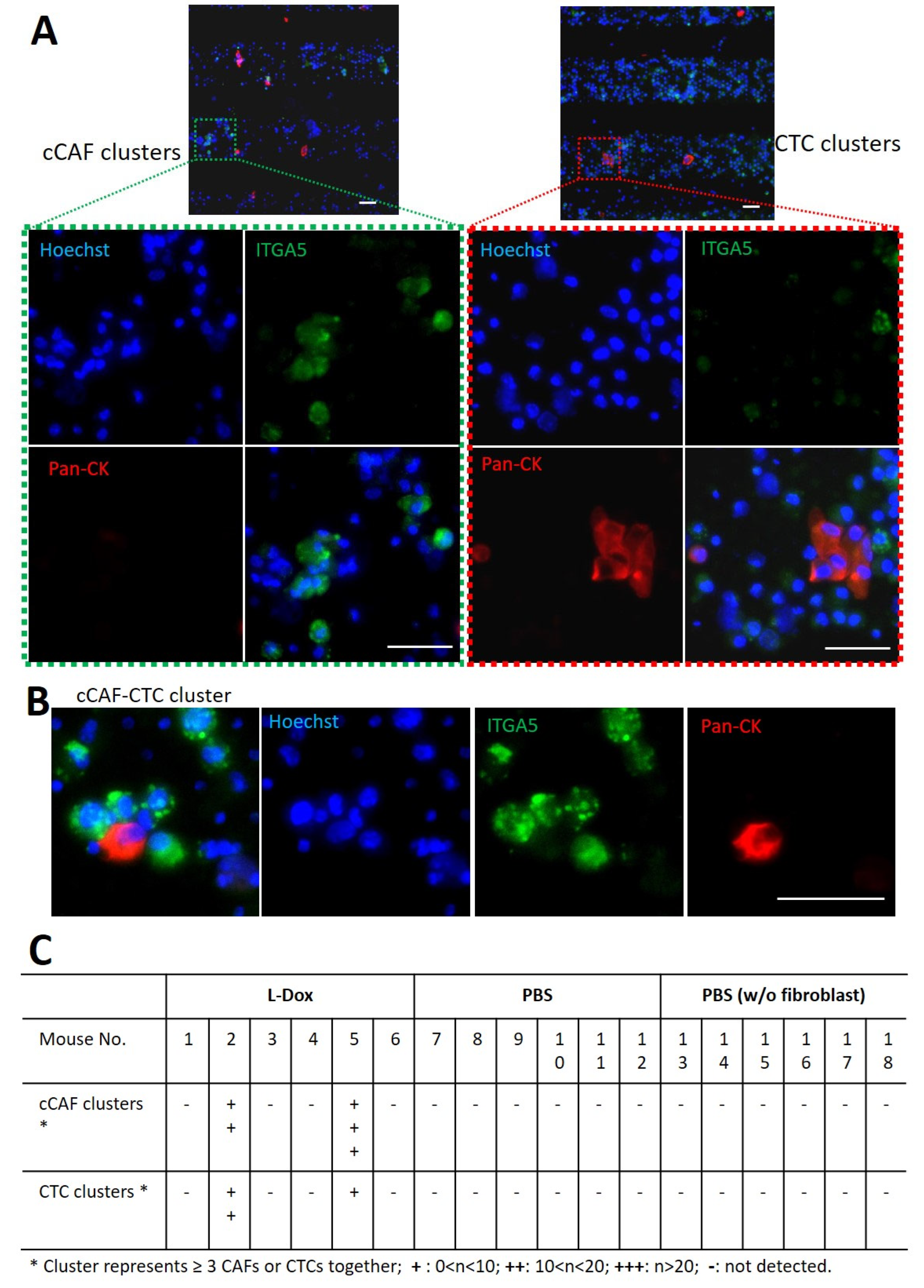 Cancers 15 01127 g006
