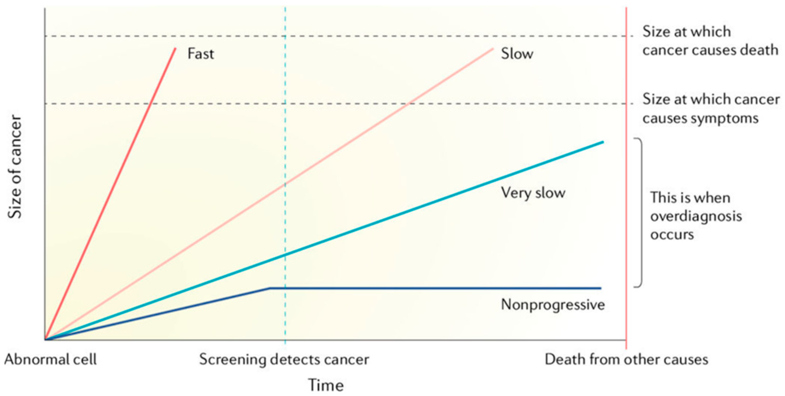 Cancers 15 01139 g001