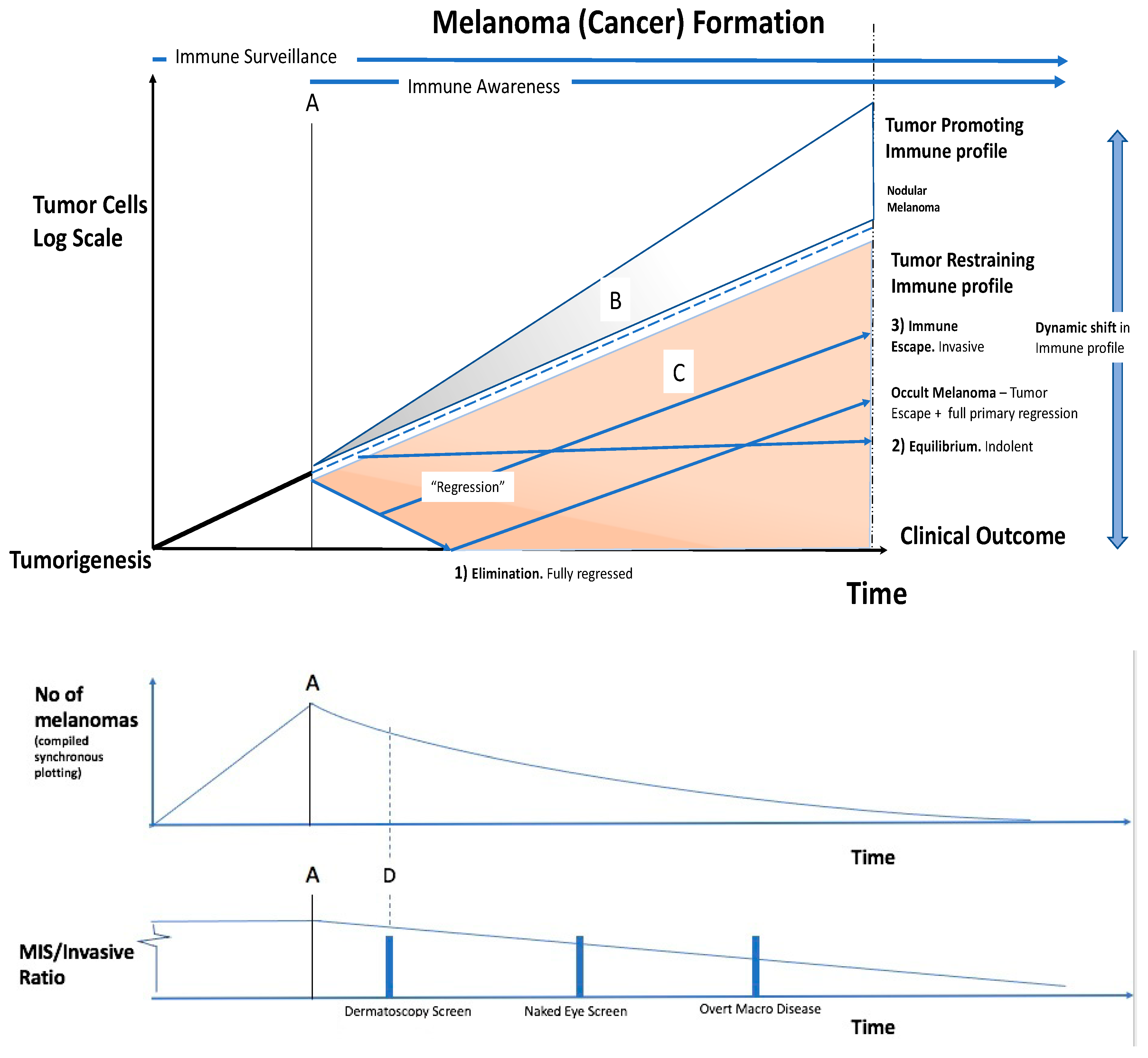 Cancers 15 01139 g002