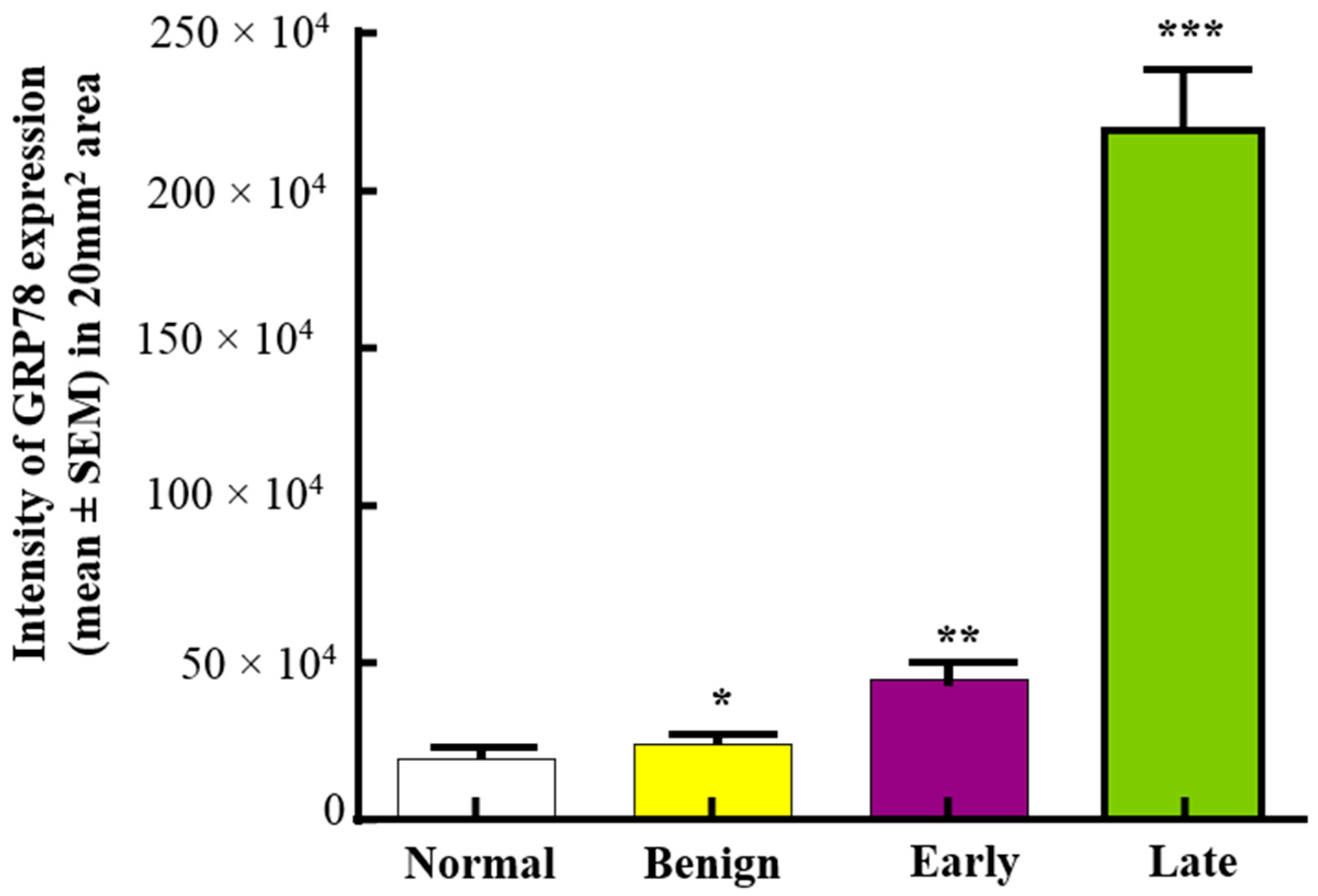 Cancers 15 01140 g002