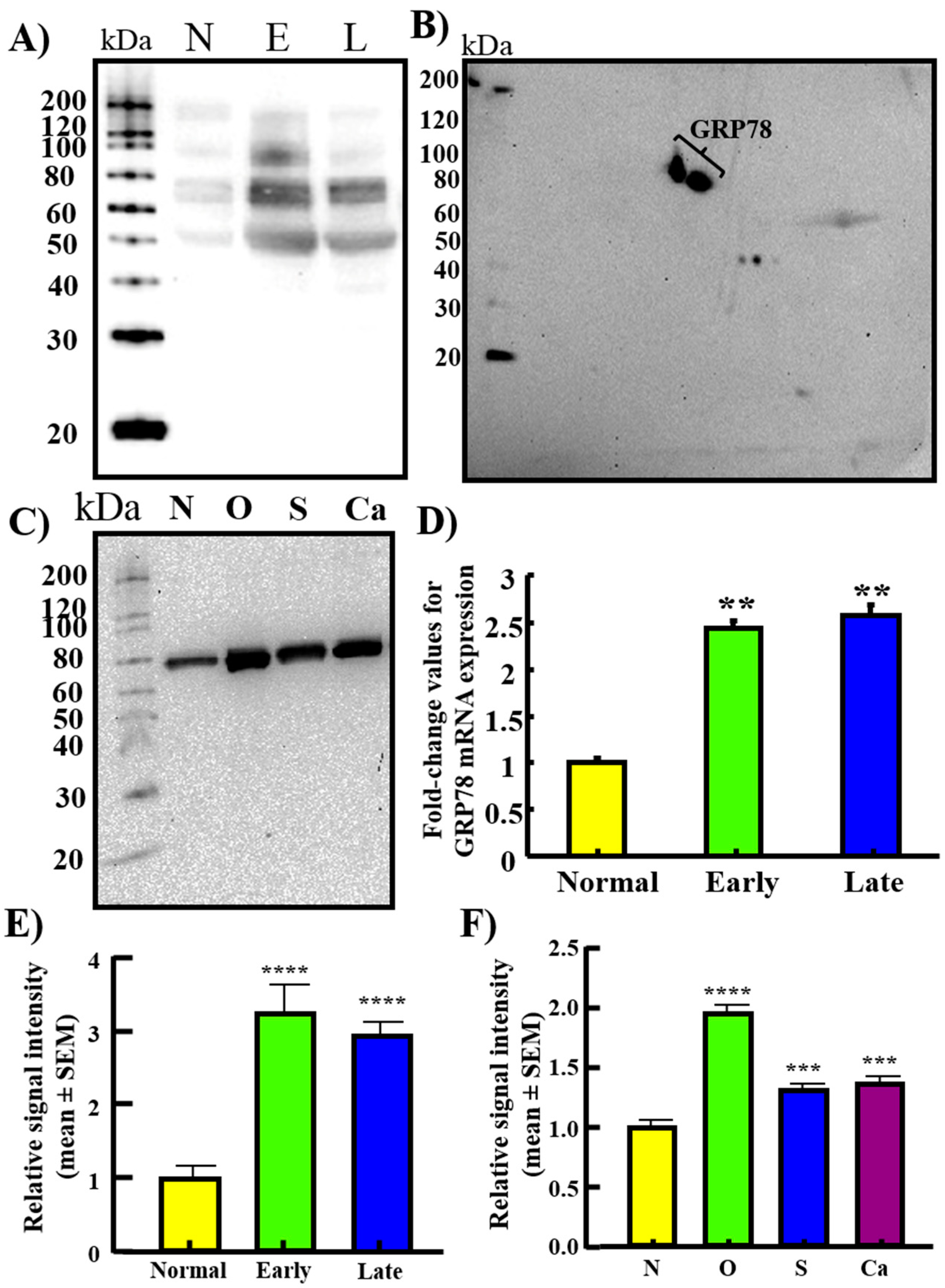 Cancers 15 01140 g003