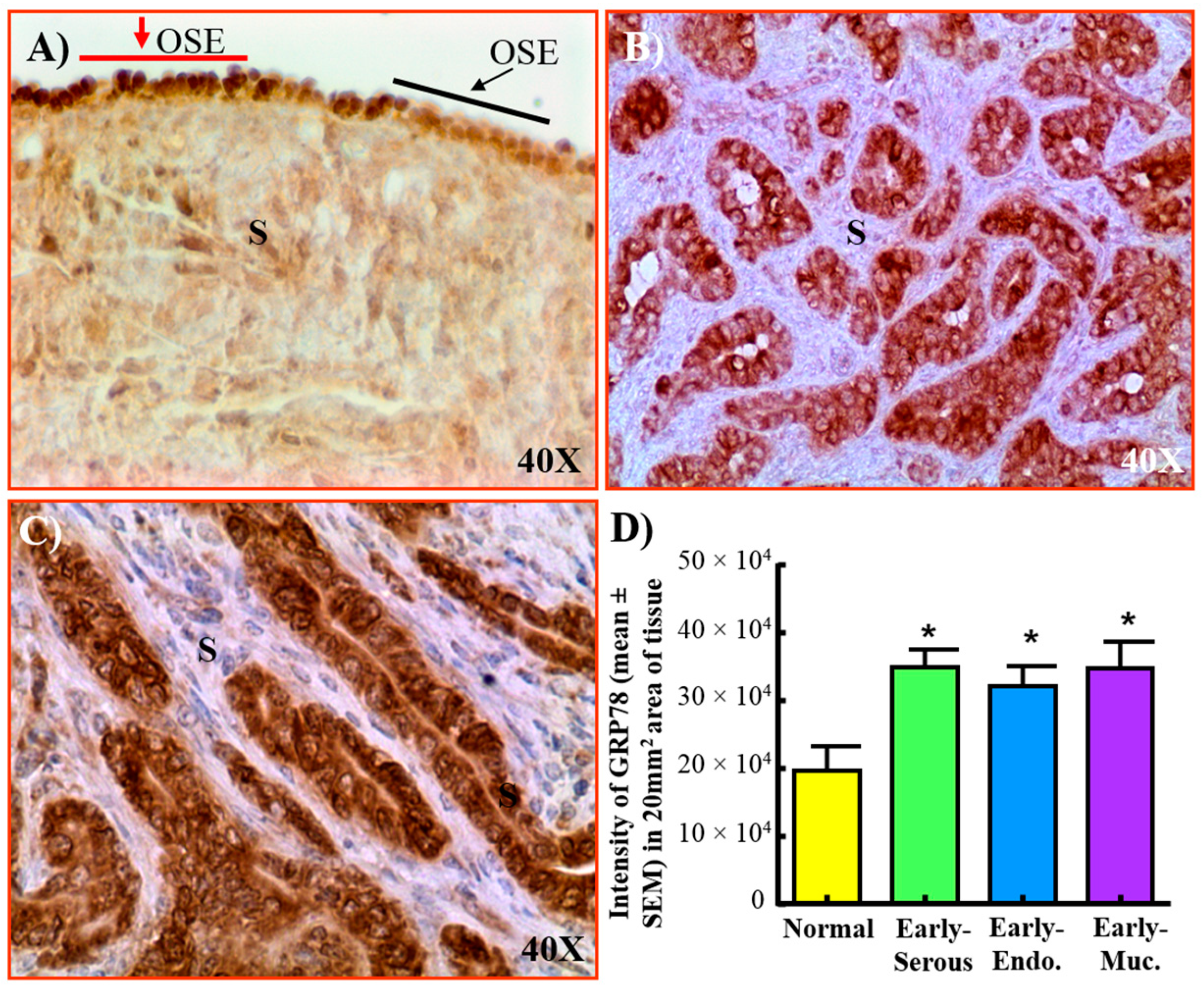 Cancers 15 01140 g006