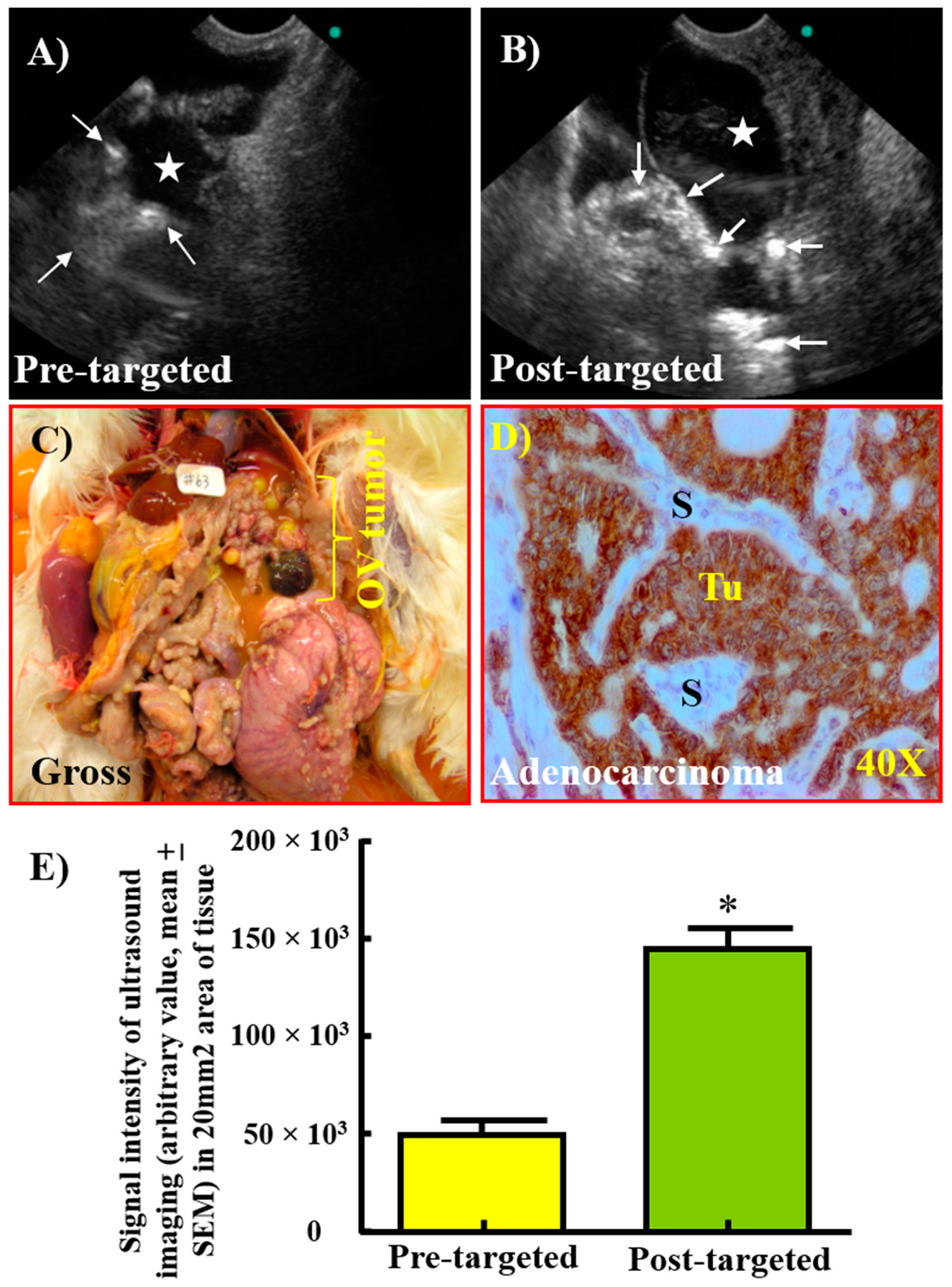 Cancers 15 01140 g009