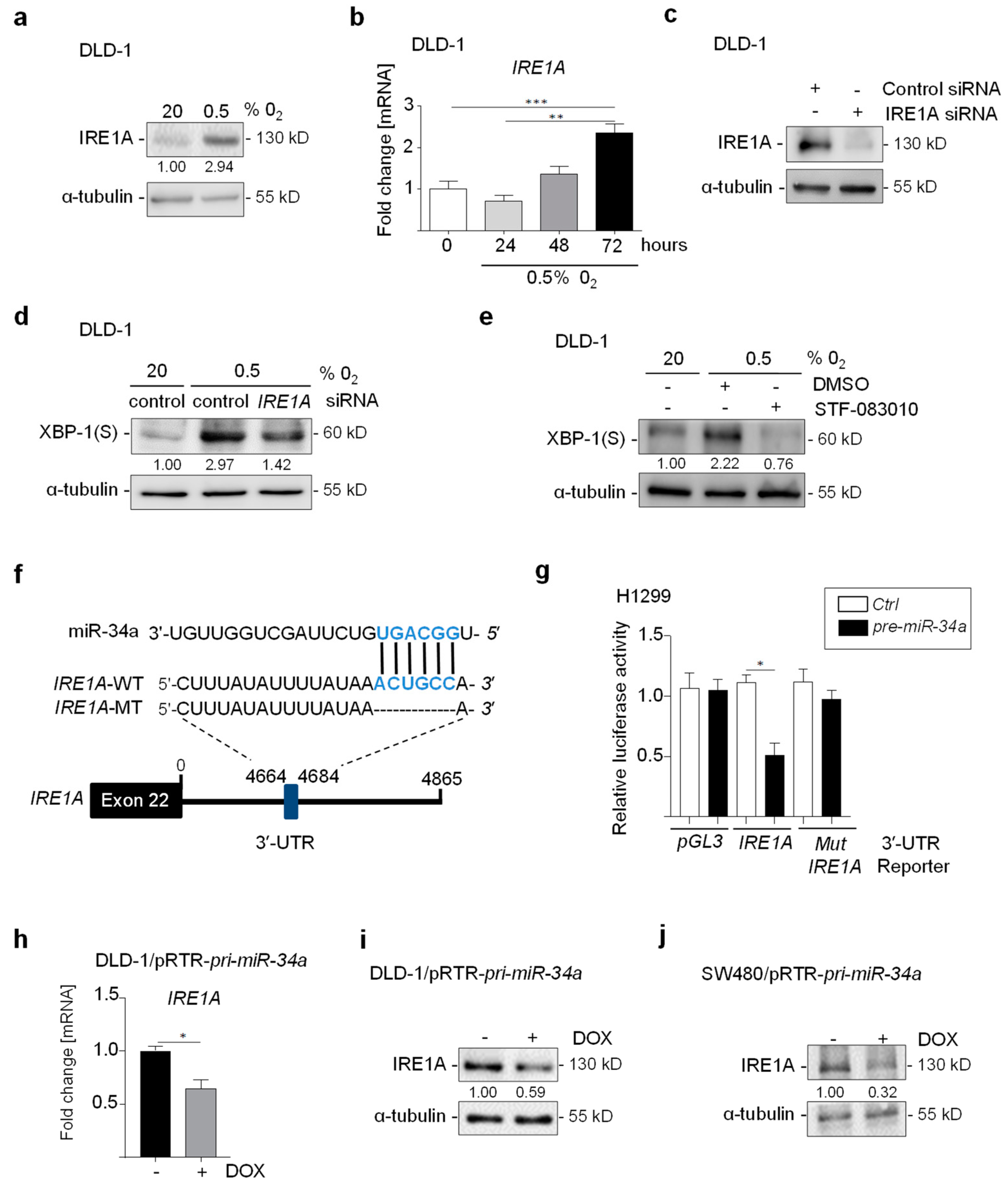 Cancers 15 01143 g002