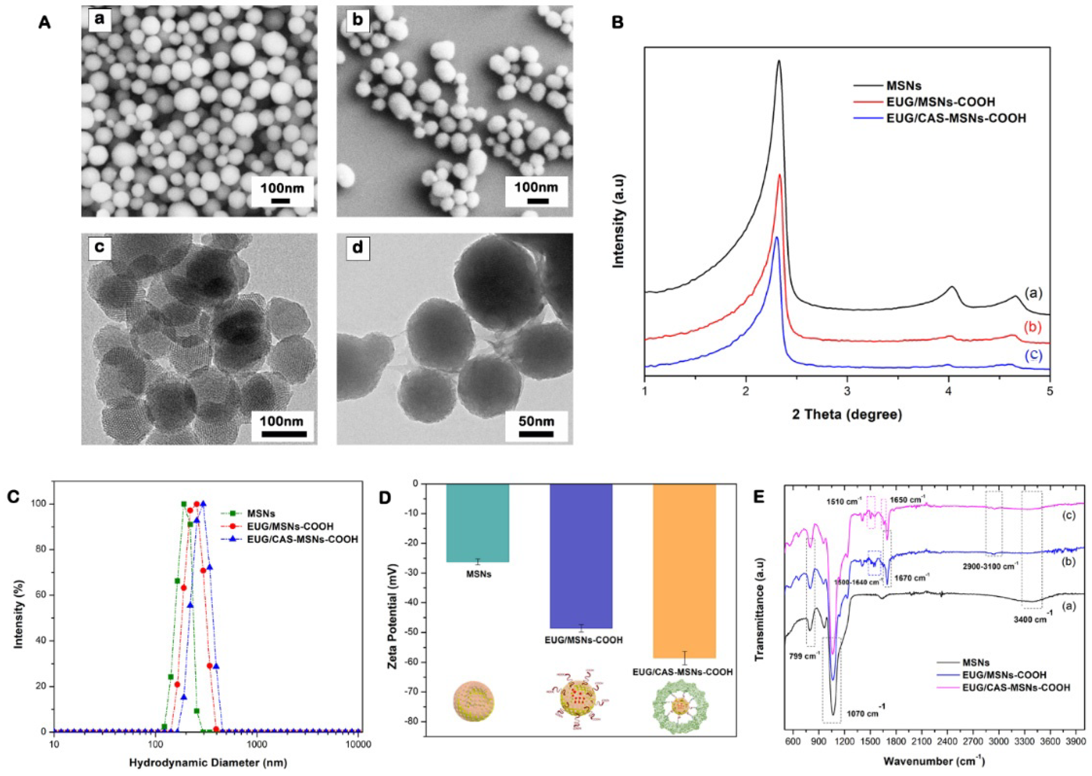 Cancers 15 01145 g006