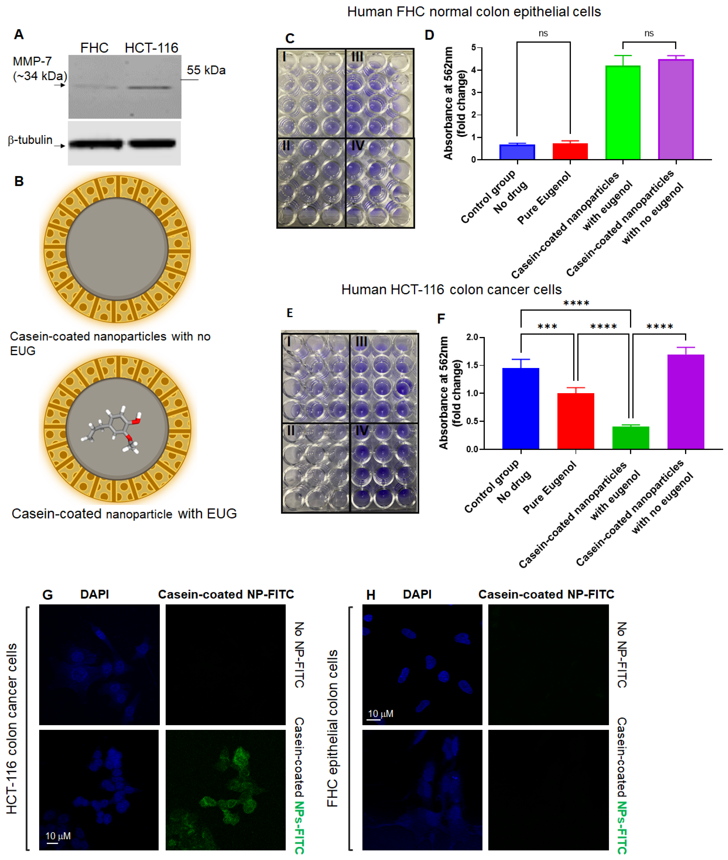 Cancers 15 01145 g010