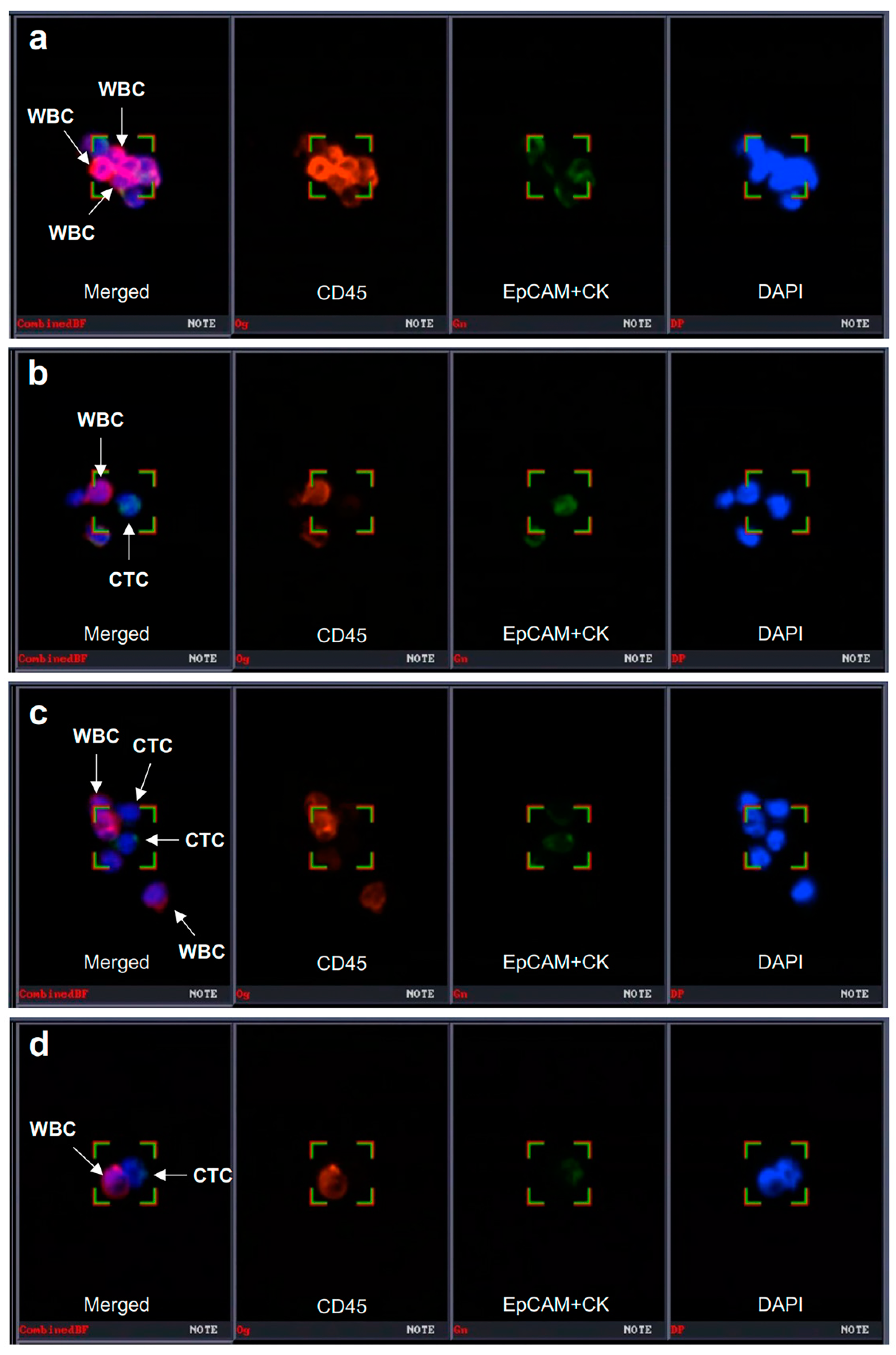 Cancers 15 01151 g002