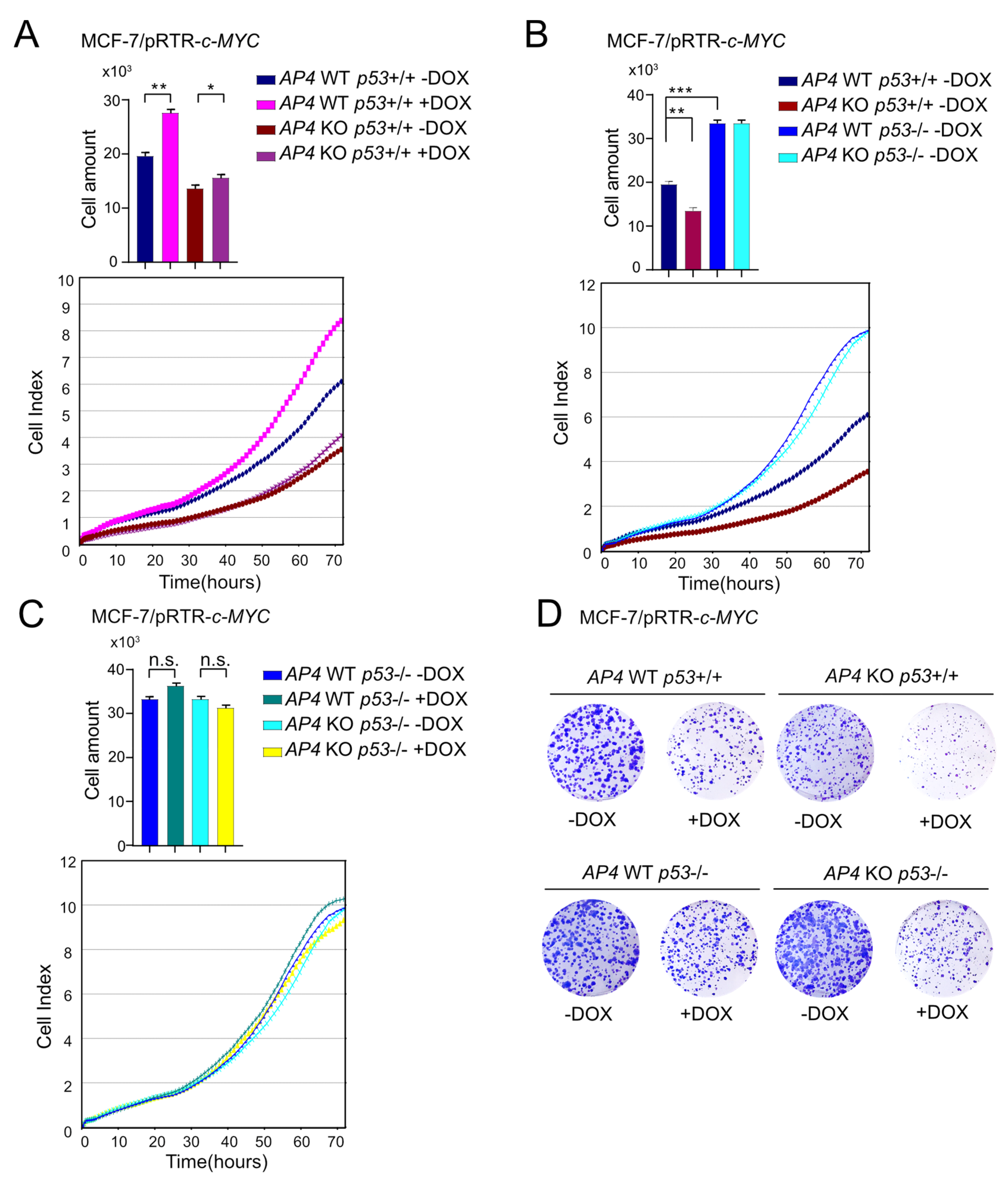 Cancers 15 01162 g002