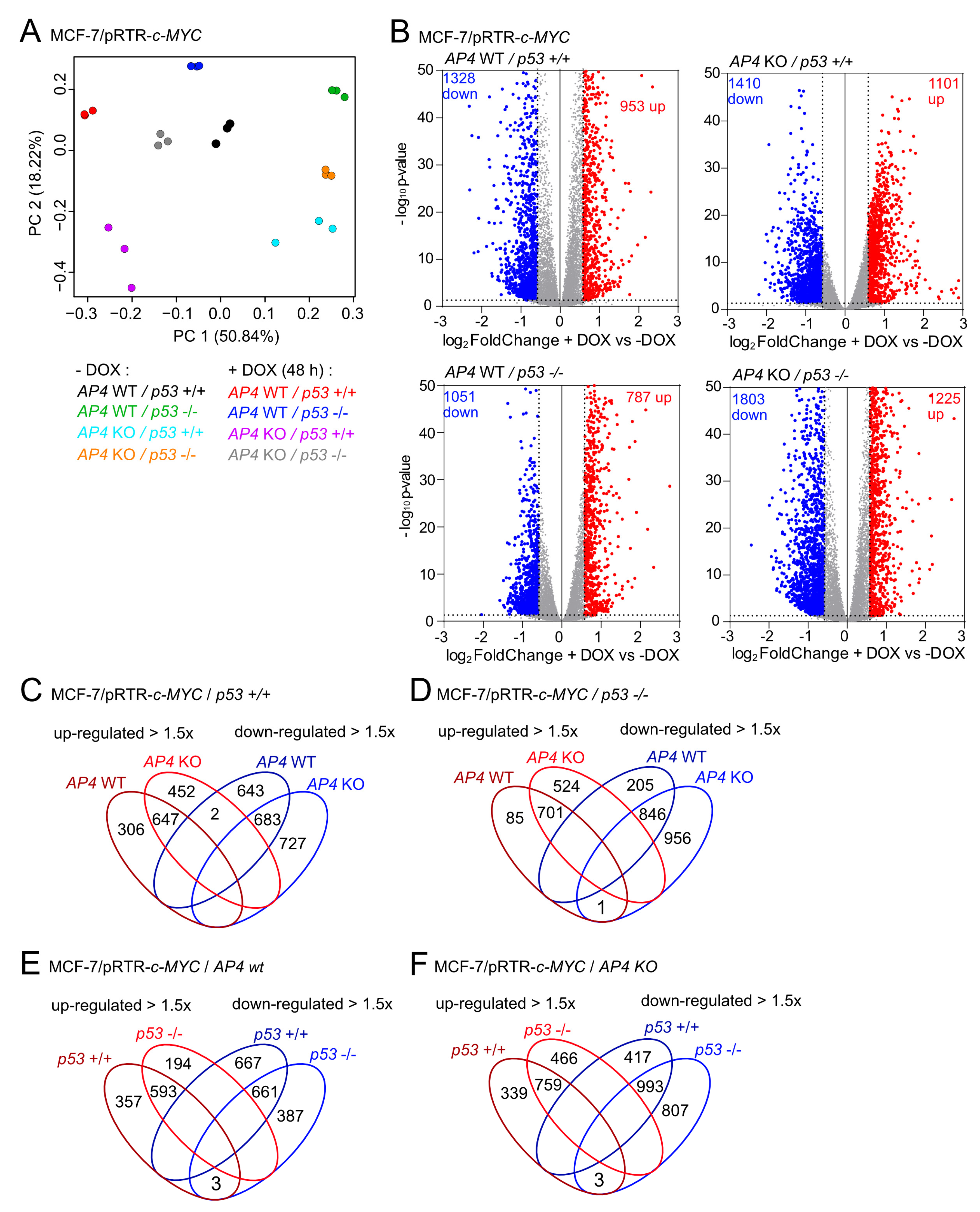 Cancers 15 01162 g005
