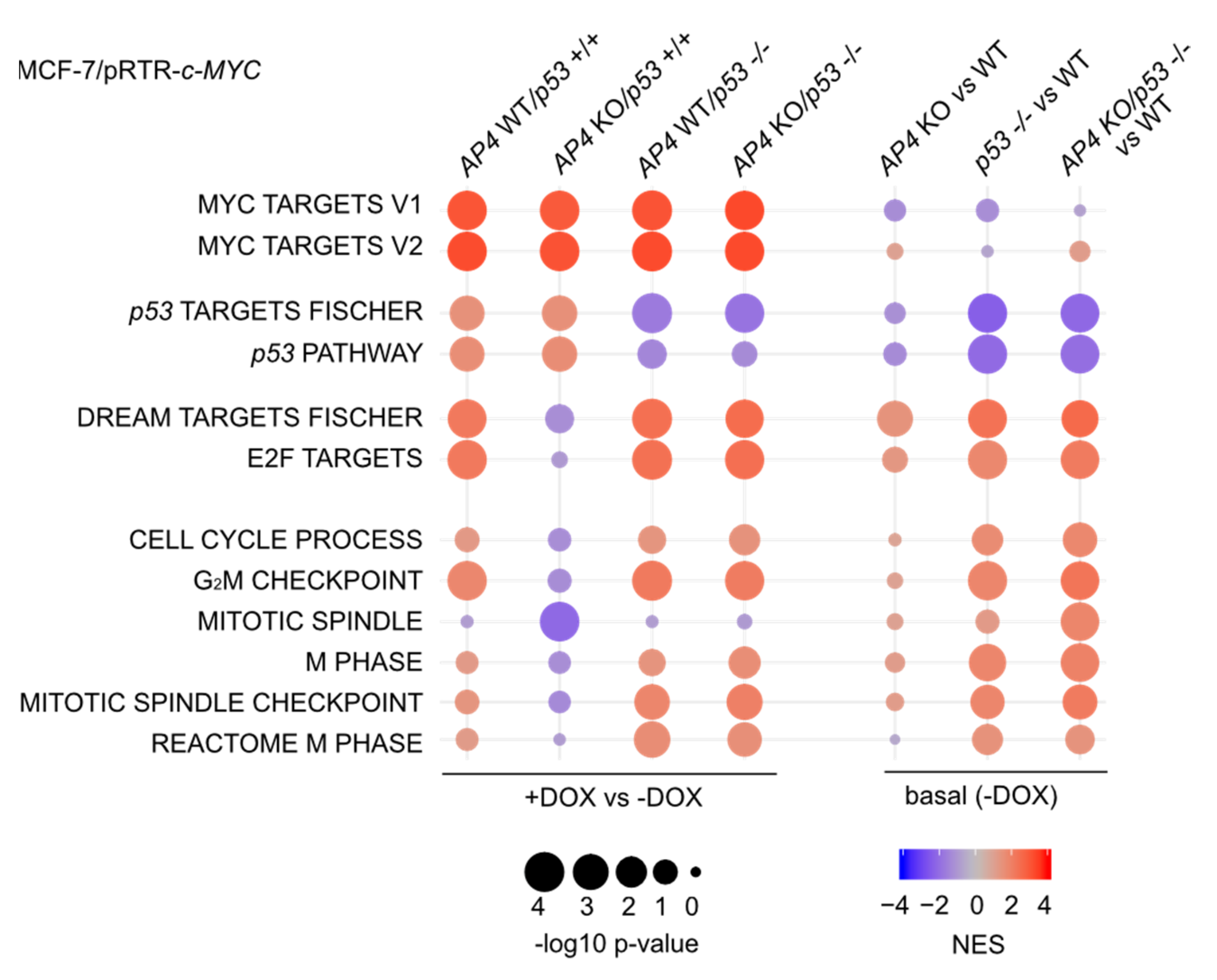 Cancers 15 01162 g006