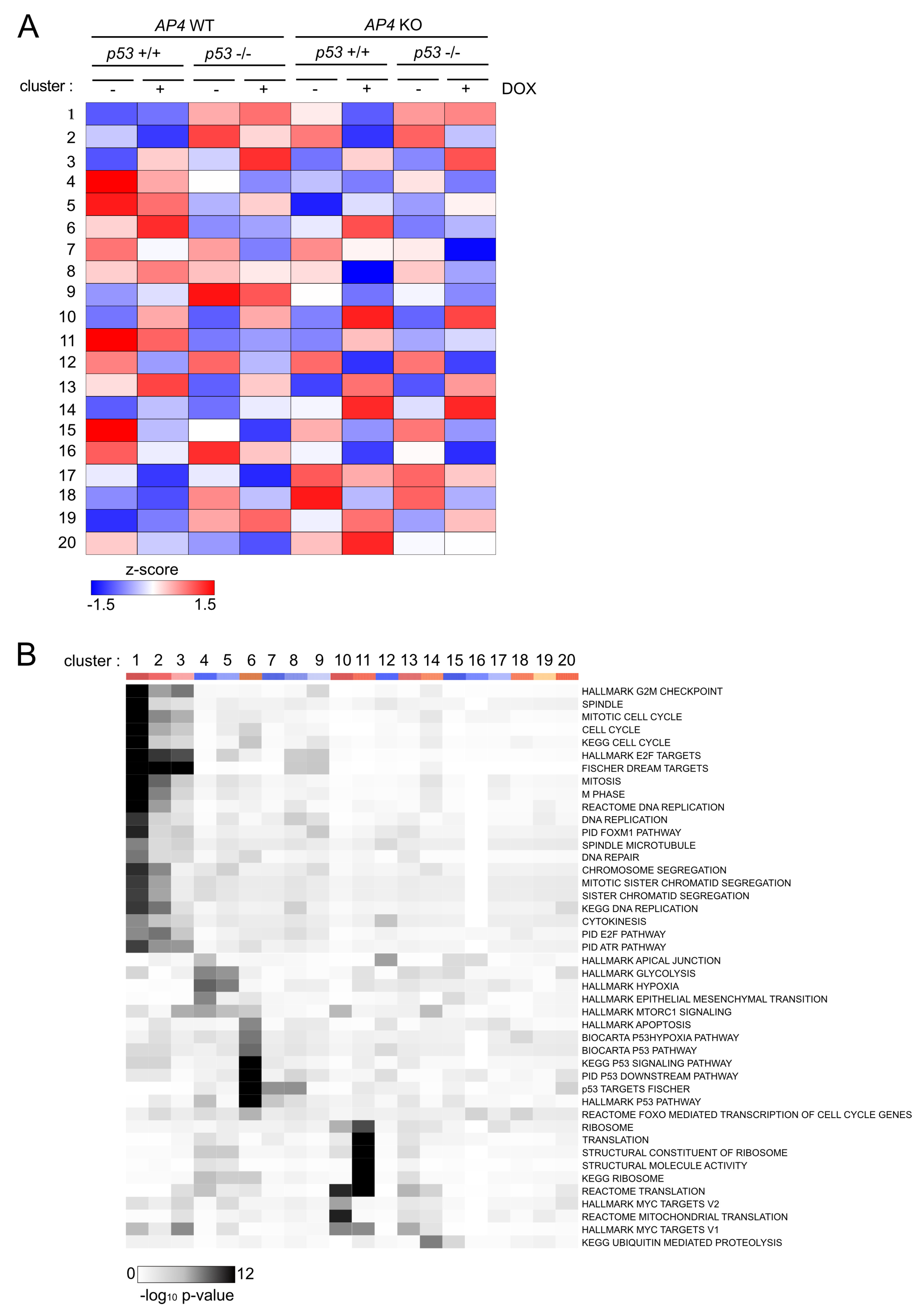 Cancers 15 01162 g007