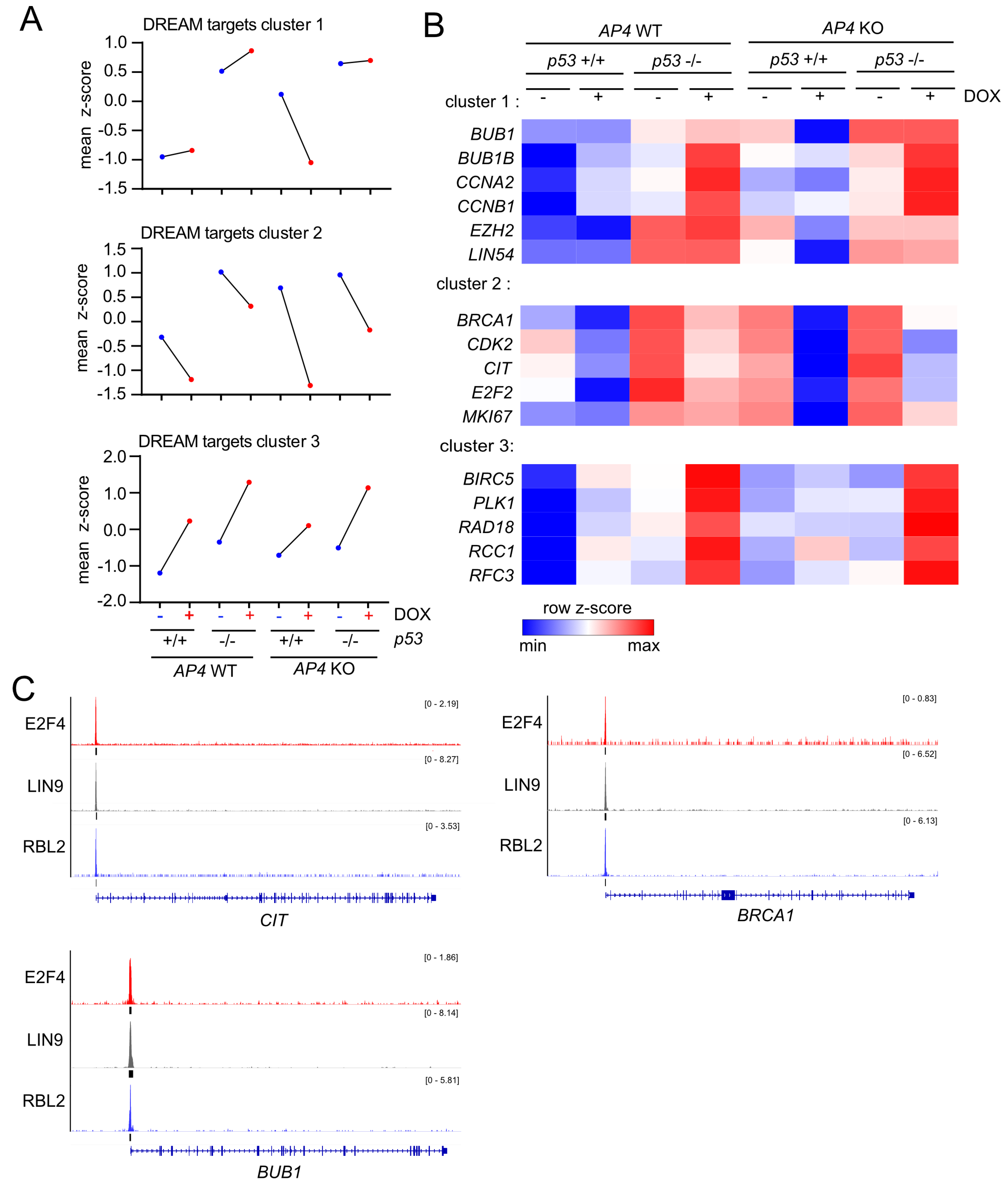 Cancers 15 01162 g008