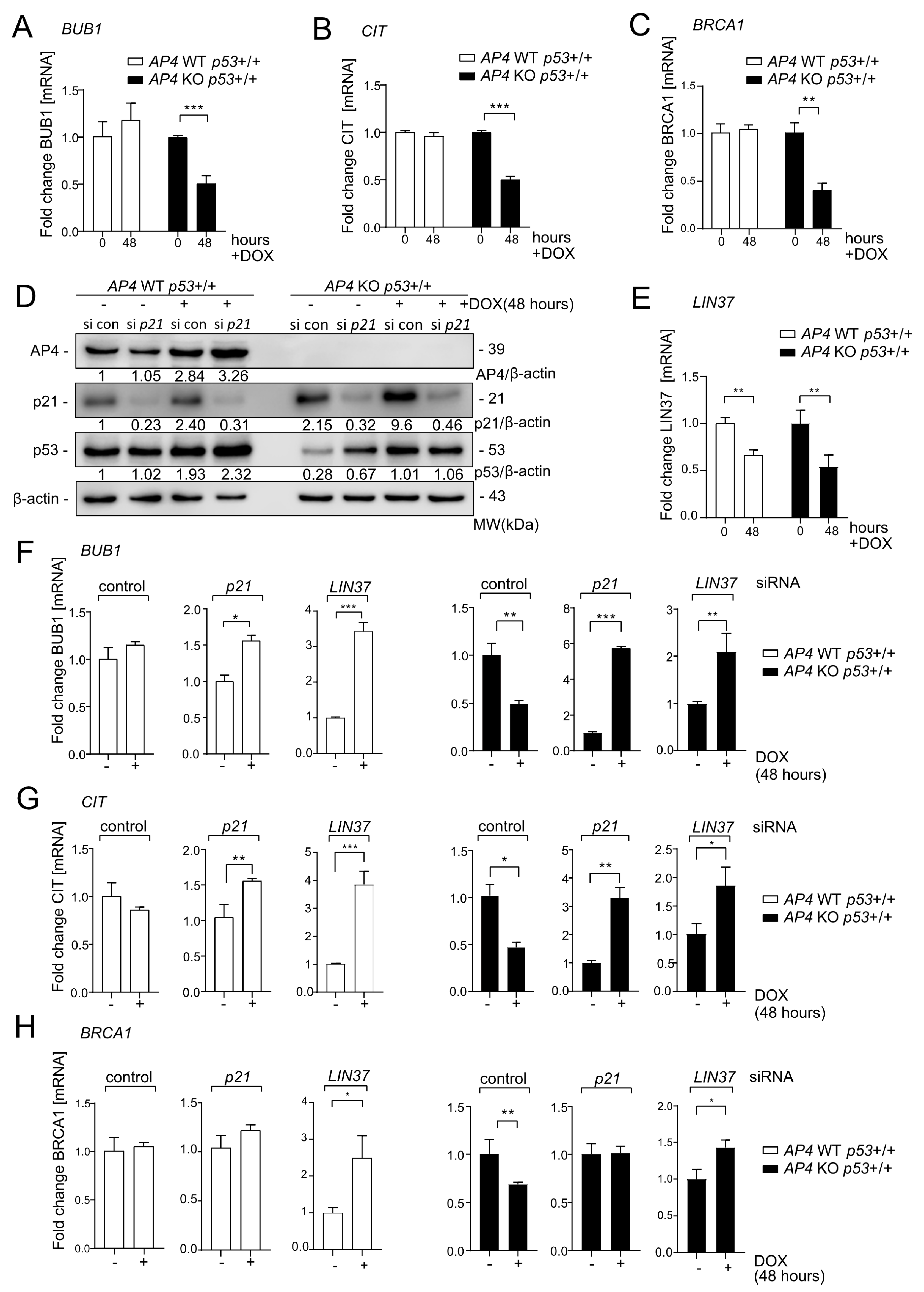 Cancers 15 01162 g009