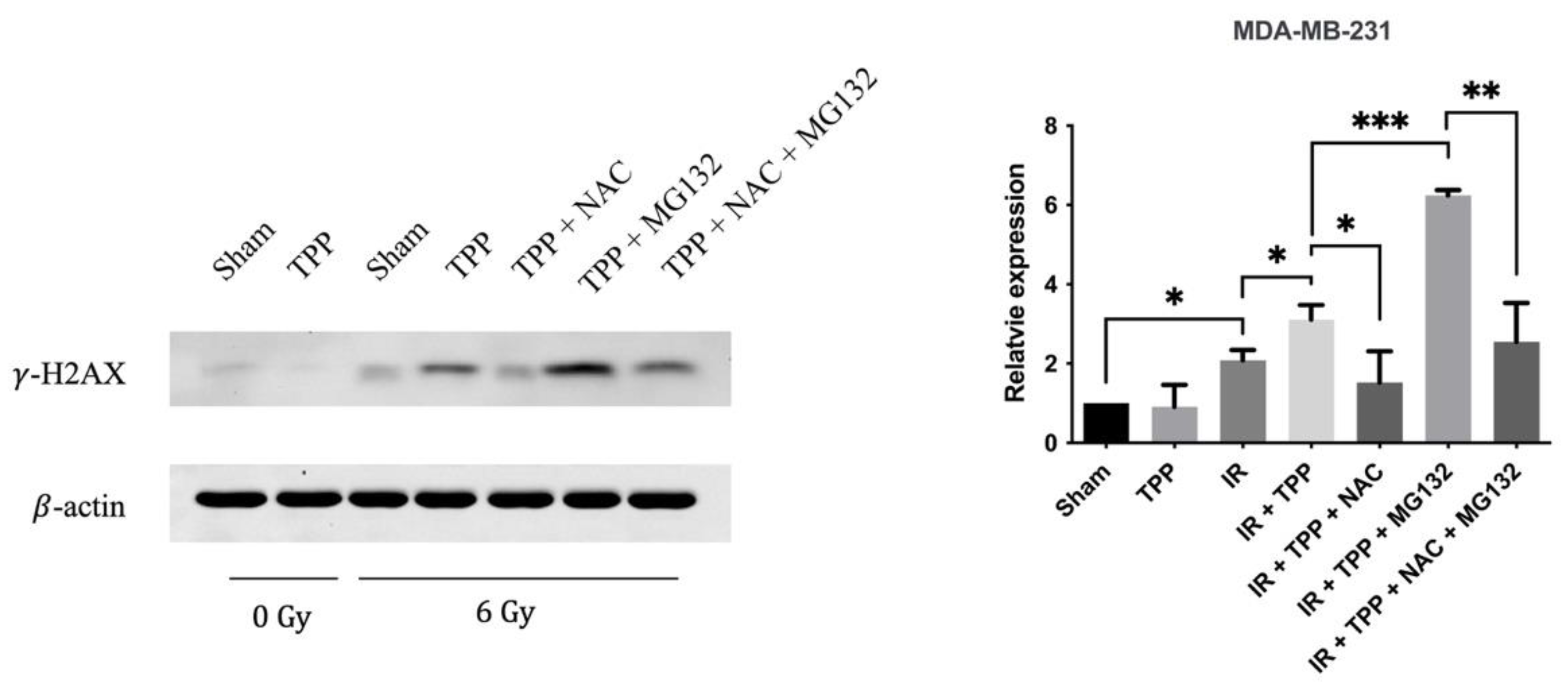 Cancers 15 01167 g009 Cancers 15 01167 g009
