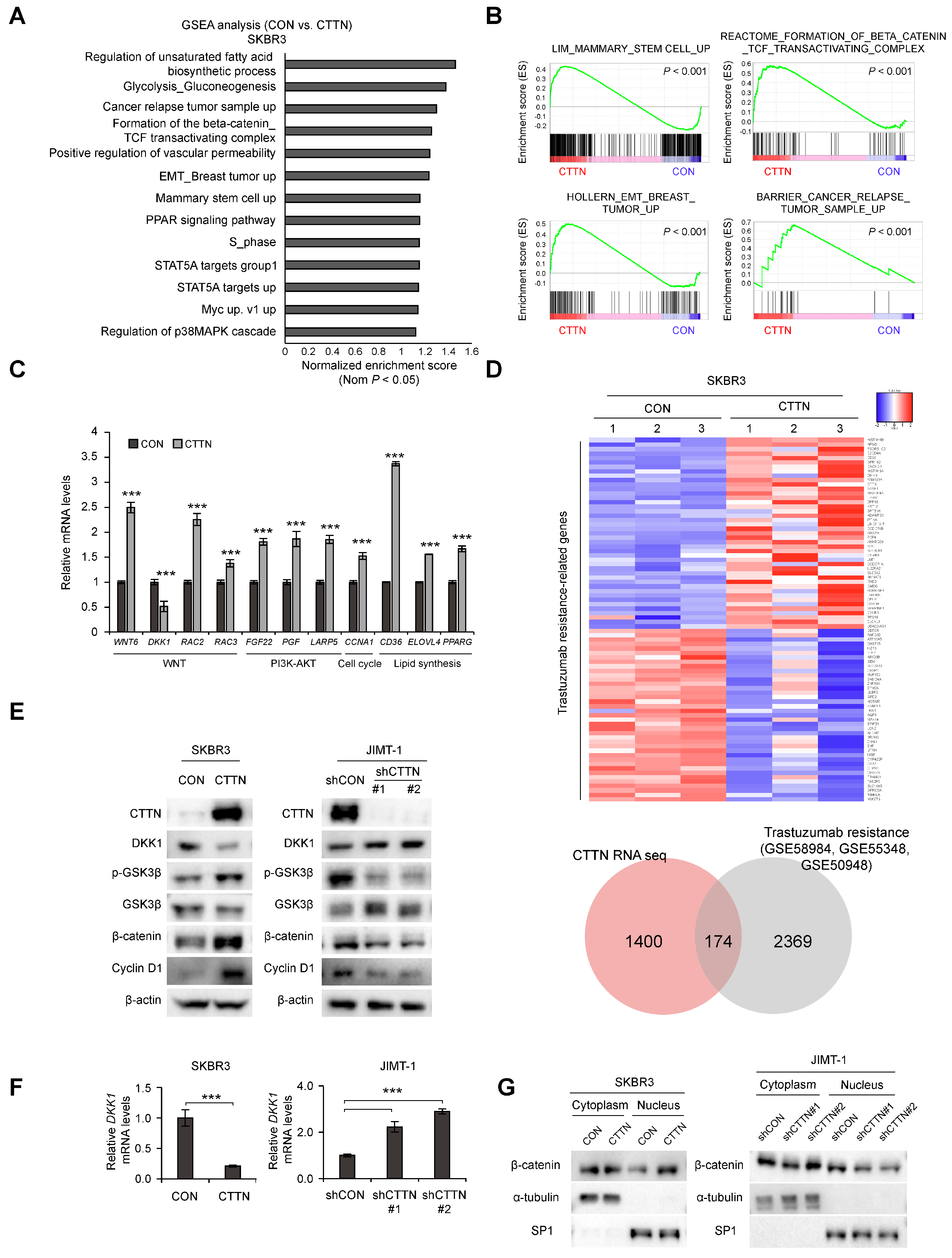 Cancers 15 01168 g003