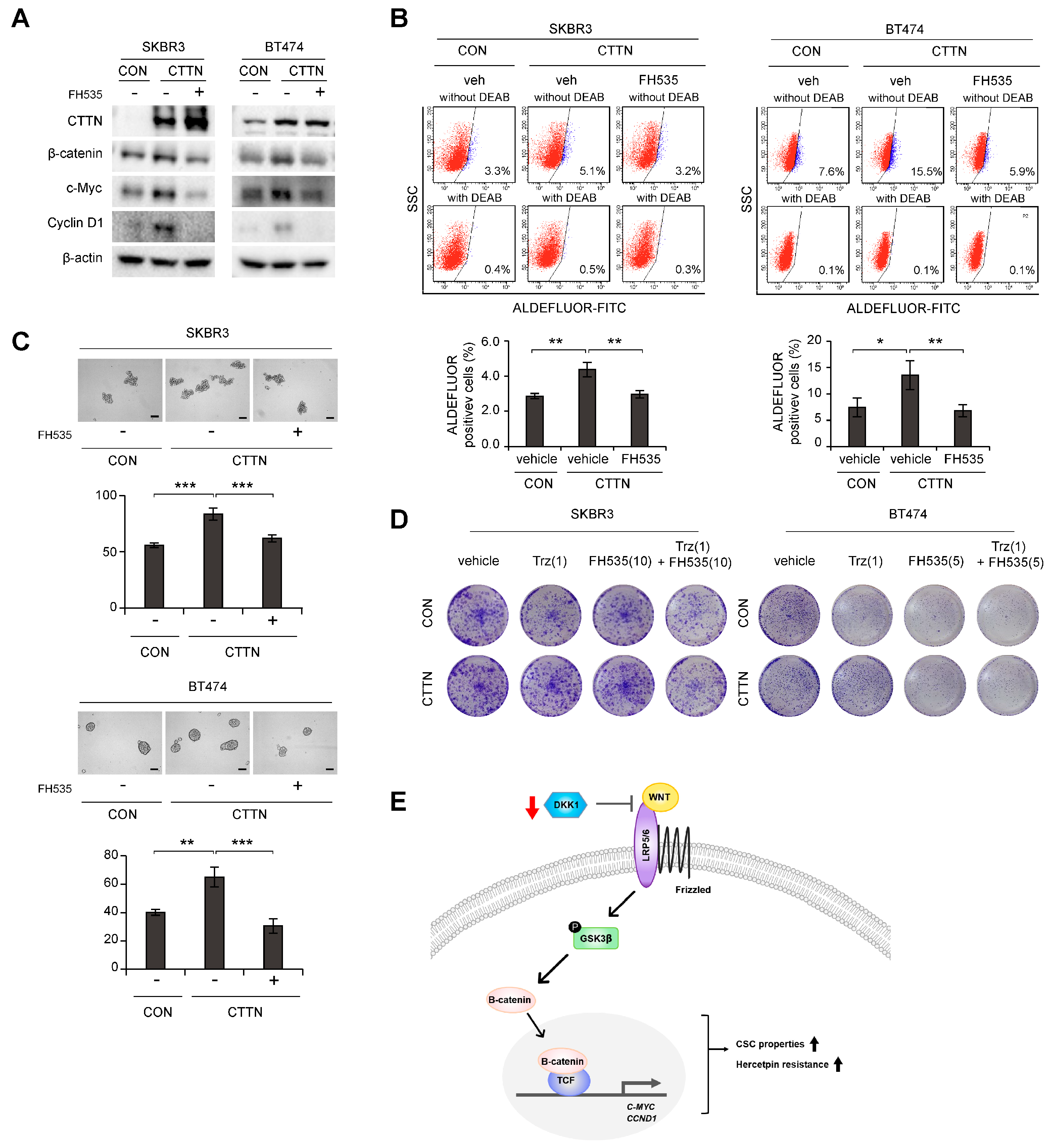 Cancers 15 01168 g004