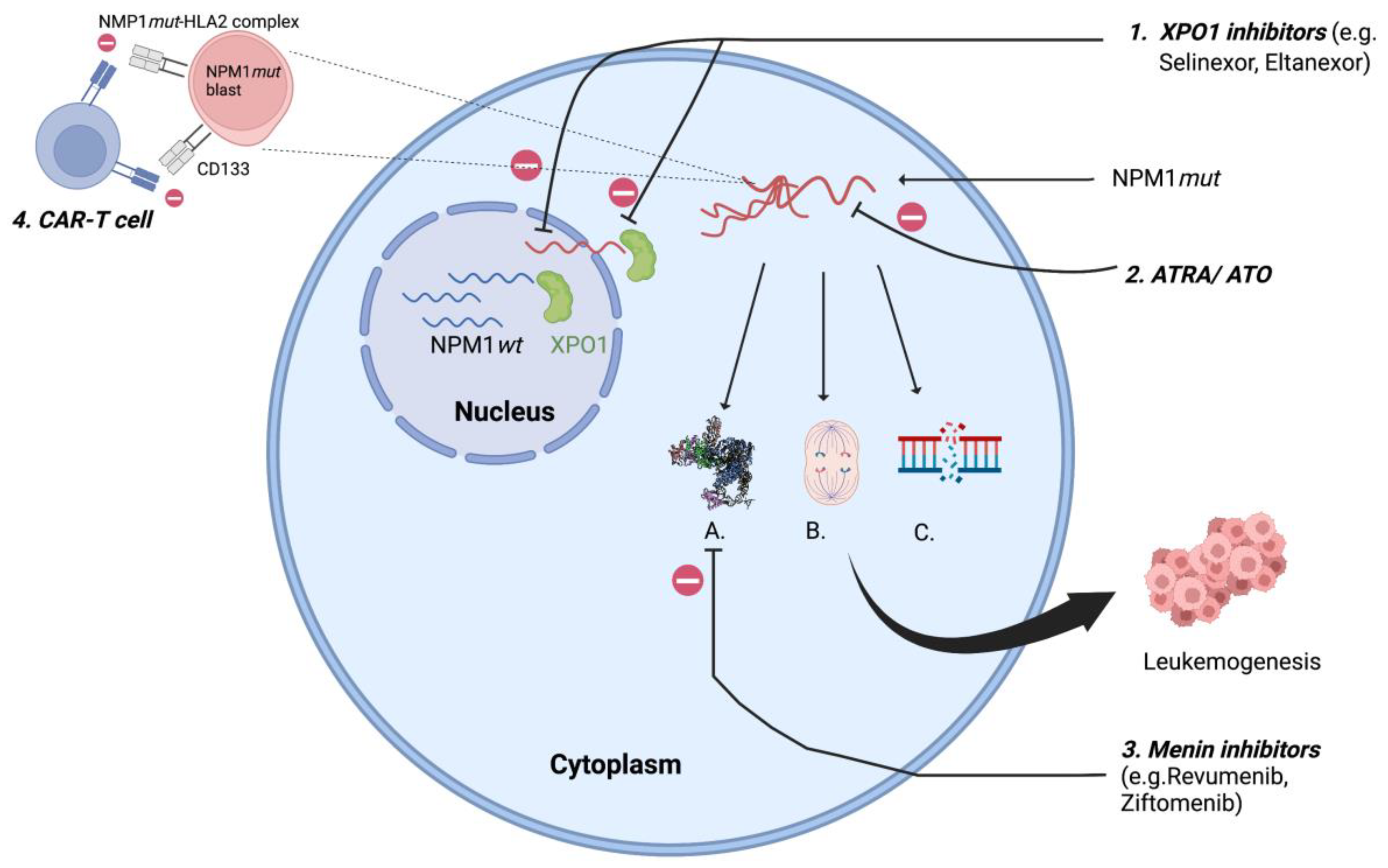 Cancers 15 01177 g001