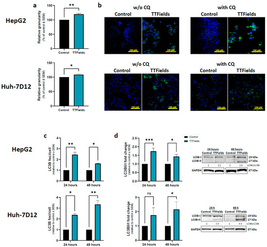 Cancers 15 01182 g002 550