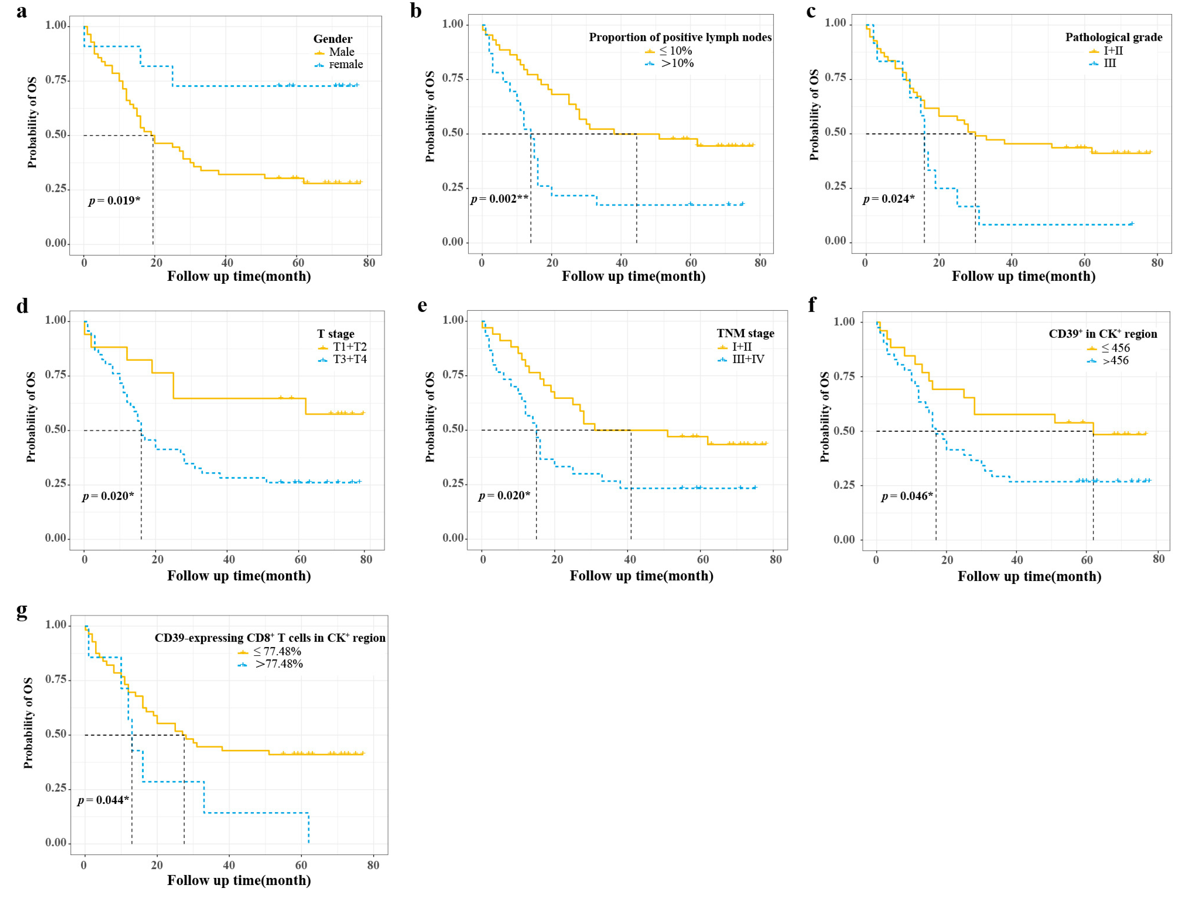 Cancers 15 01184 g002
