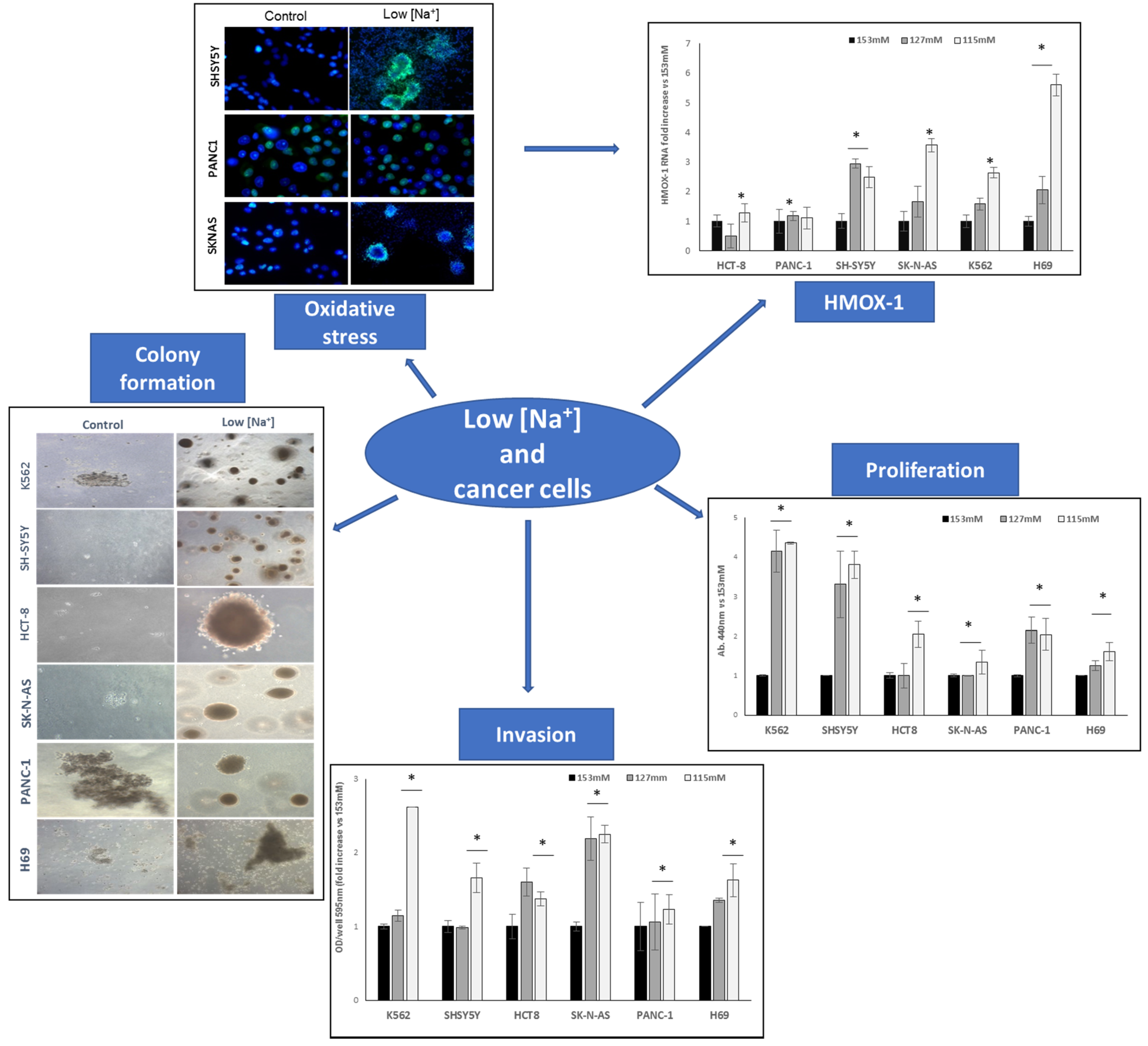 Cancers 15 01197 g001