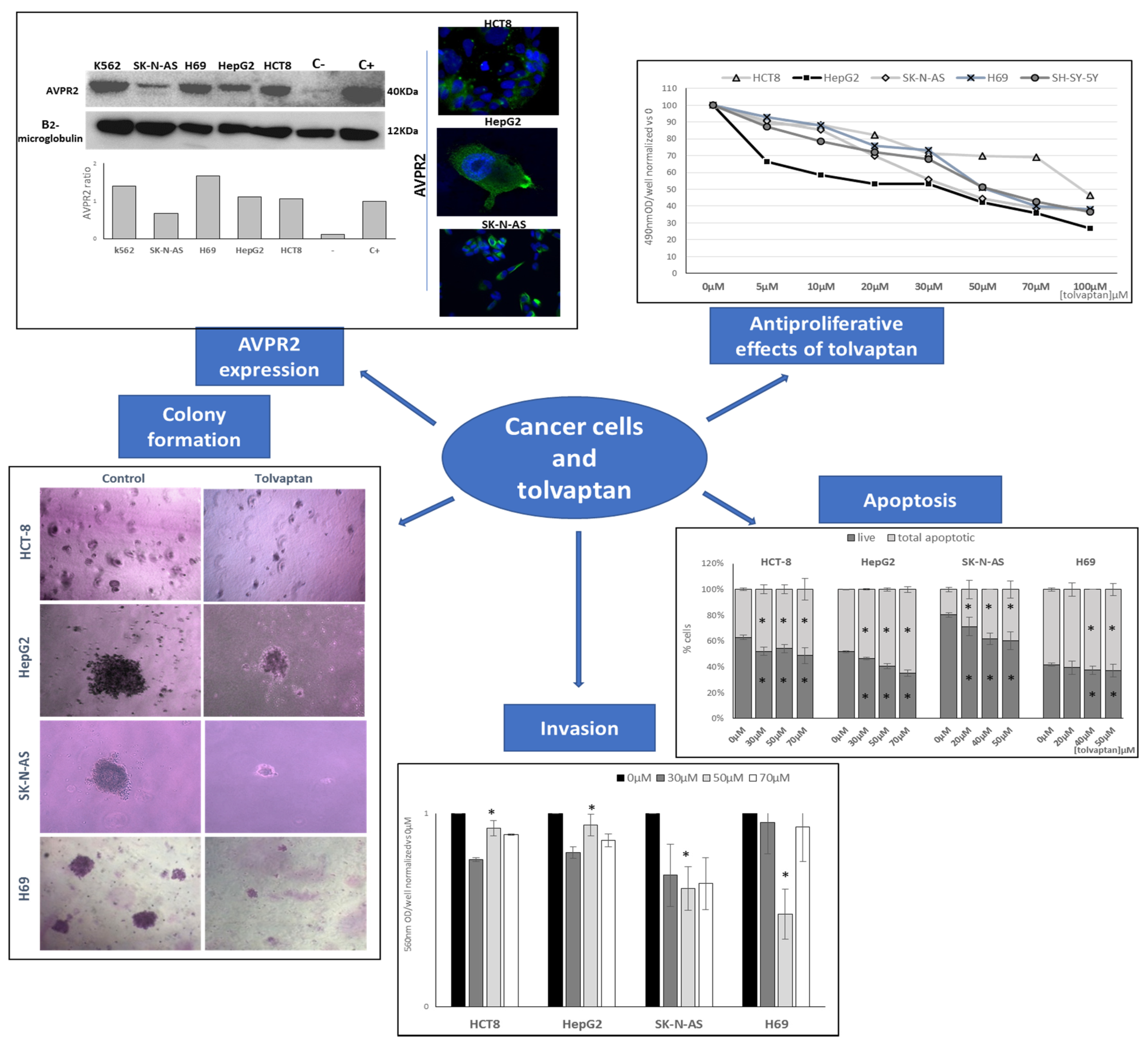 Cancers 15 01197 g002