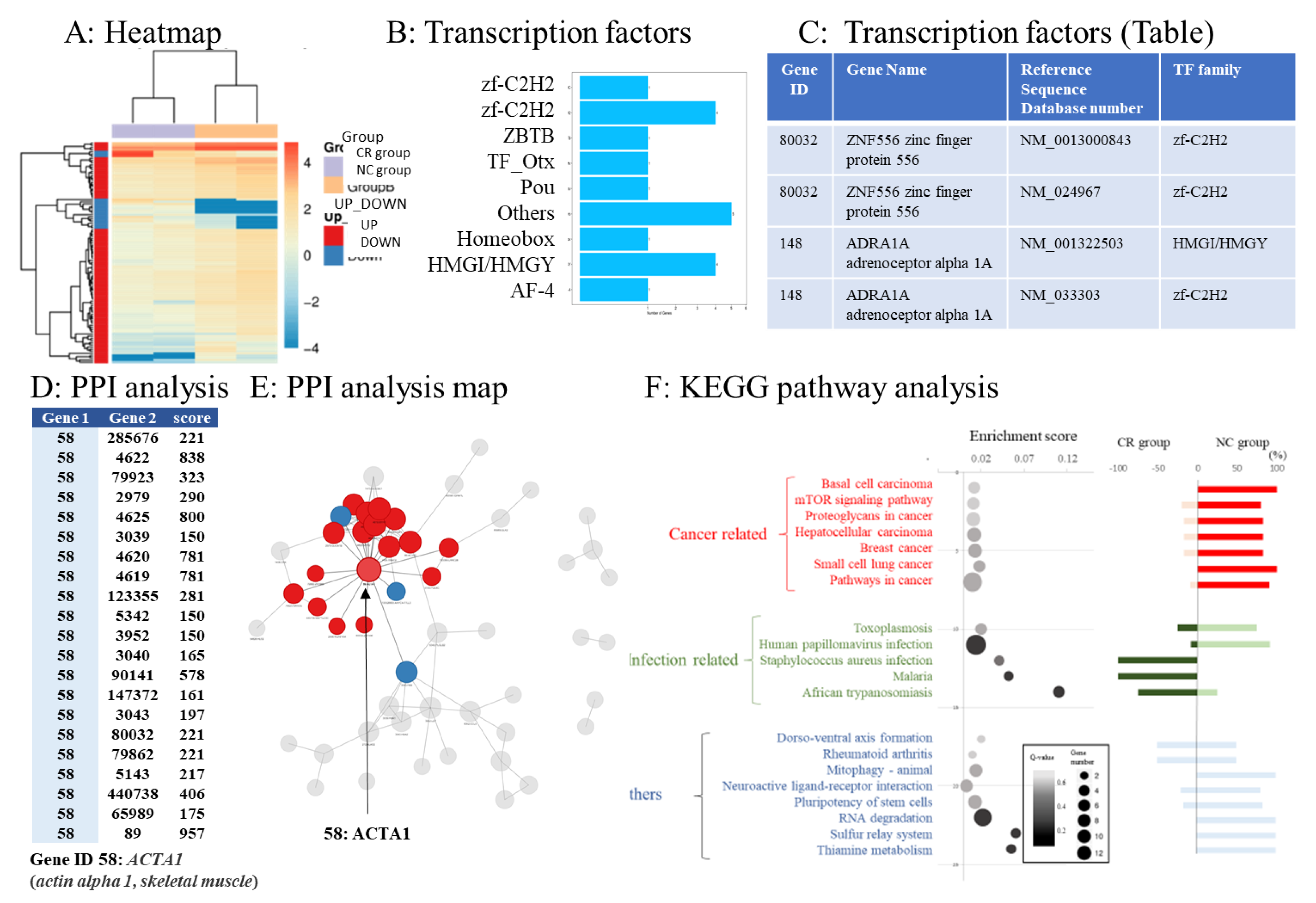 Cancers 15 01206 g003