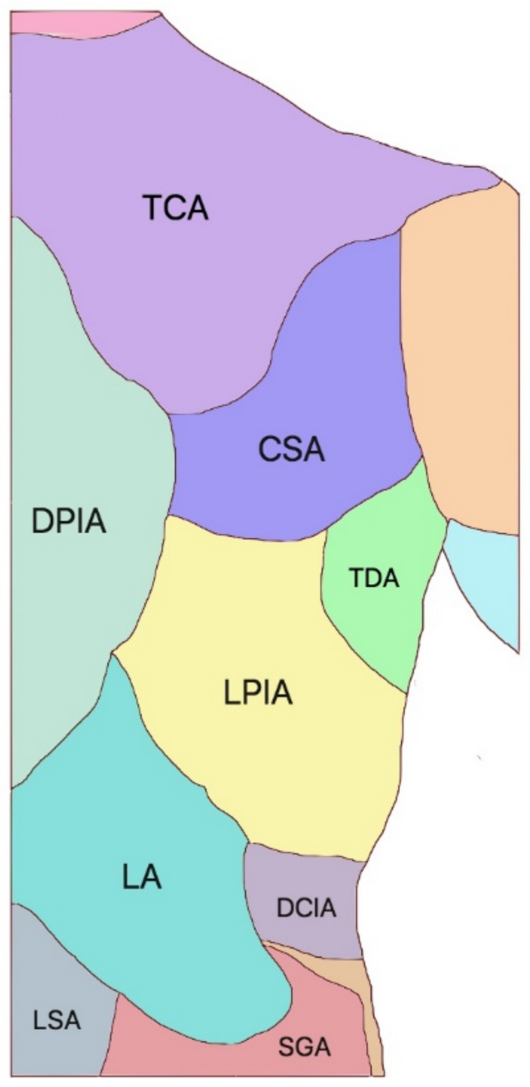 Cancers 15 01214 g003