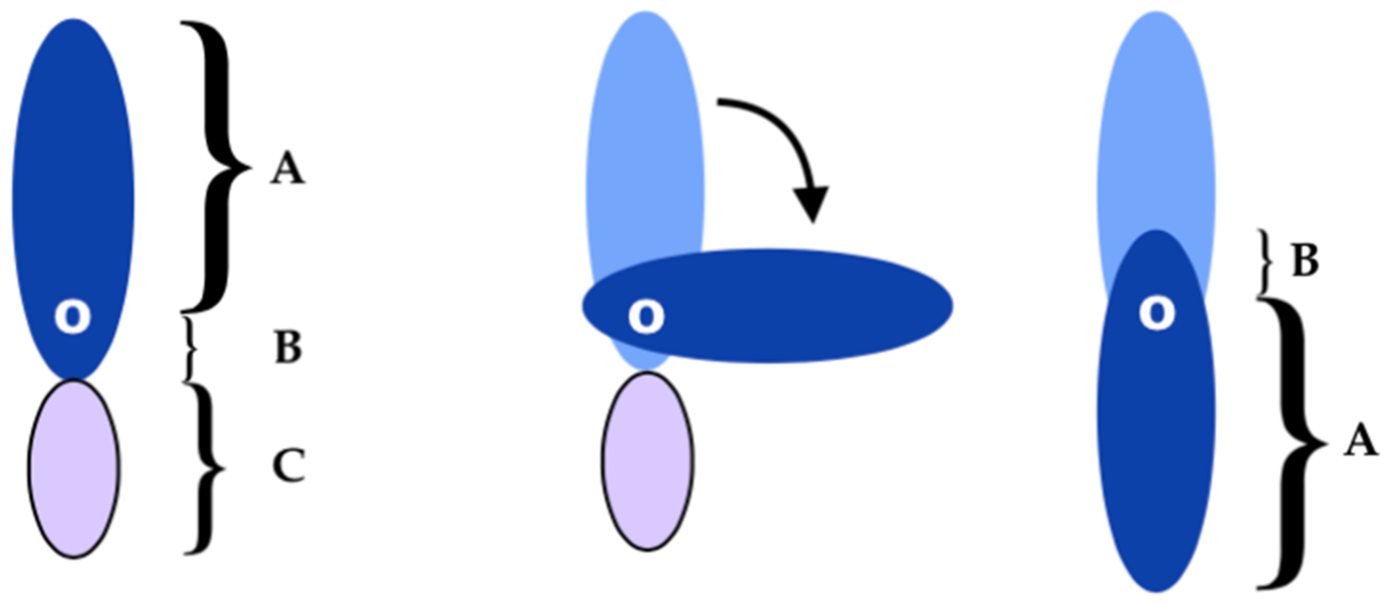 Cancers 15 01214 g004