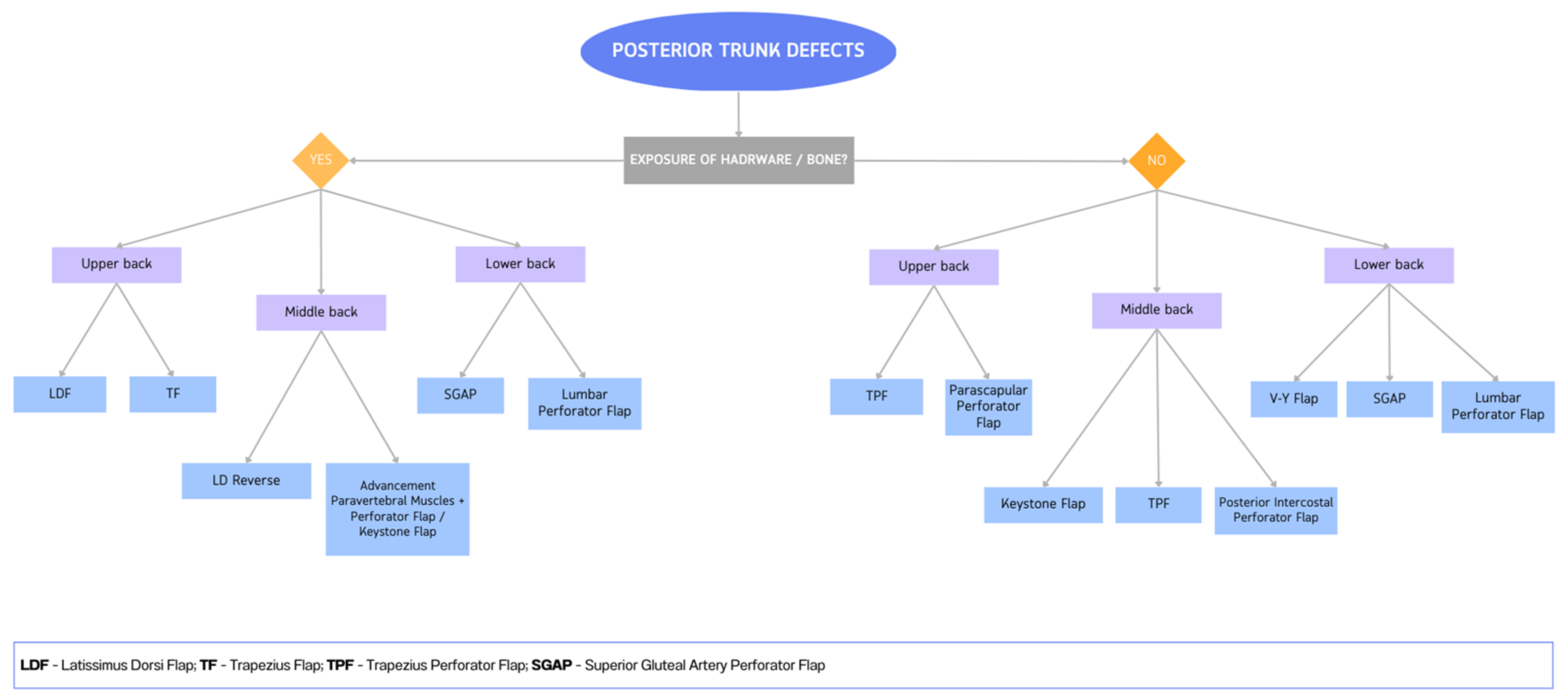 Cancers 15 01214 g012