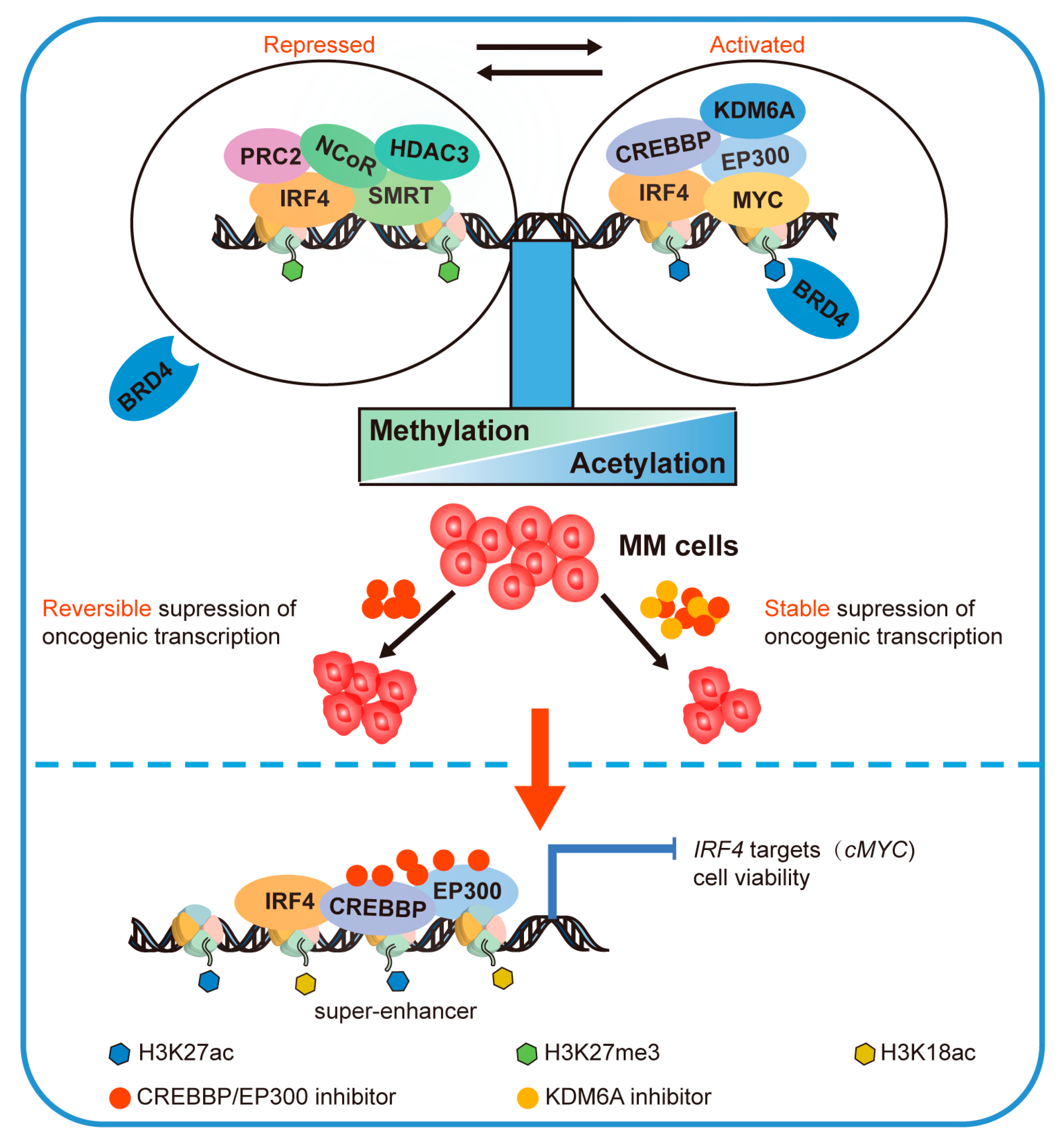 Cancers 15 01219 g004