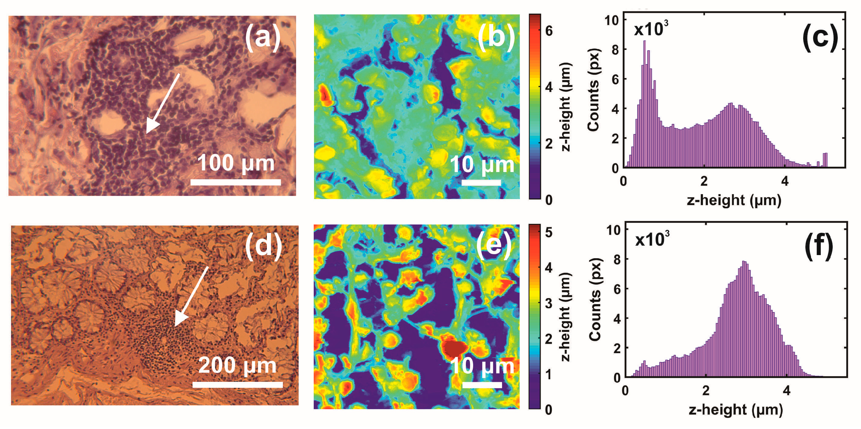 Cancers 15 01220 g002