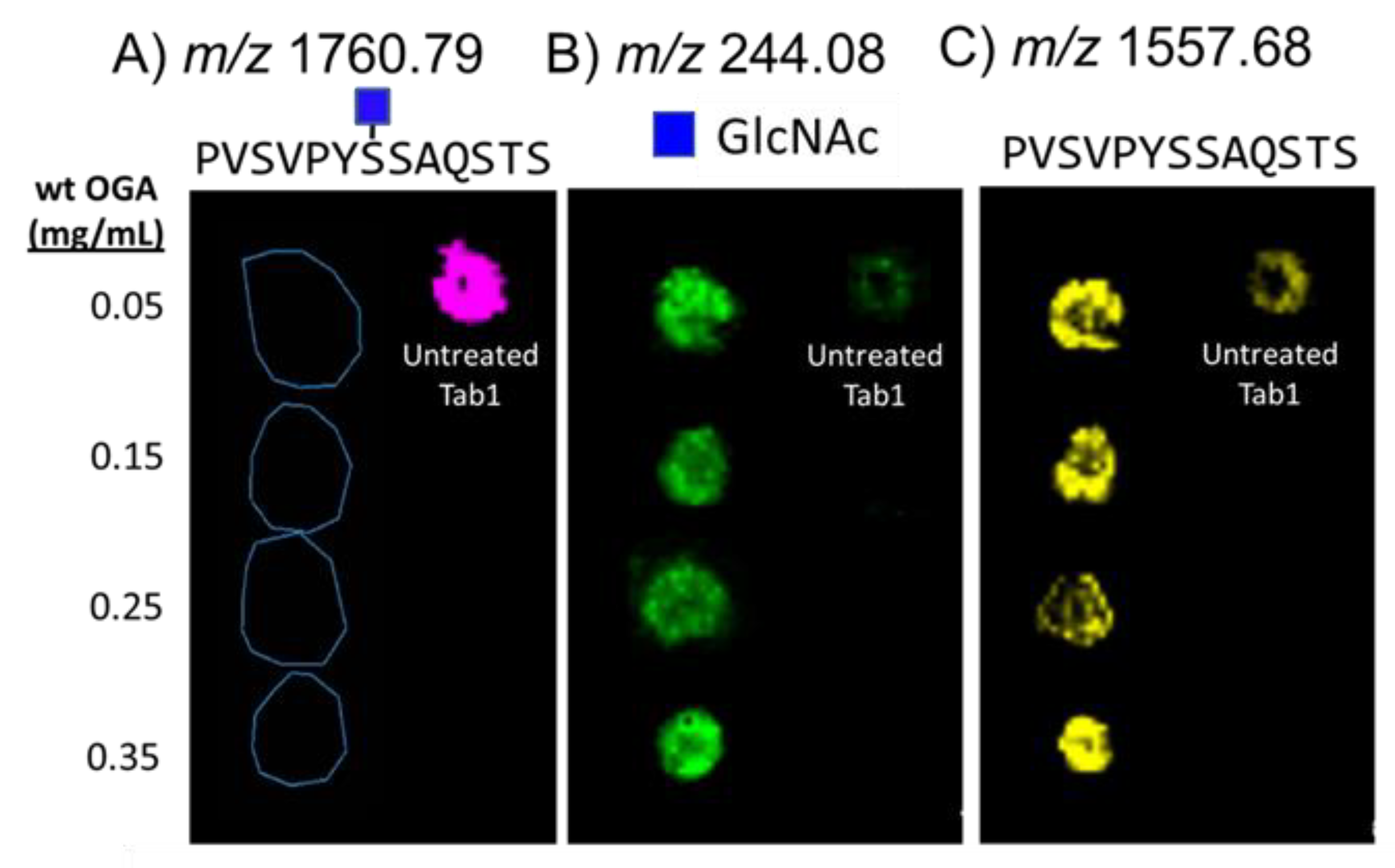 Cancers 15 01224 g002