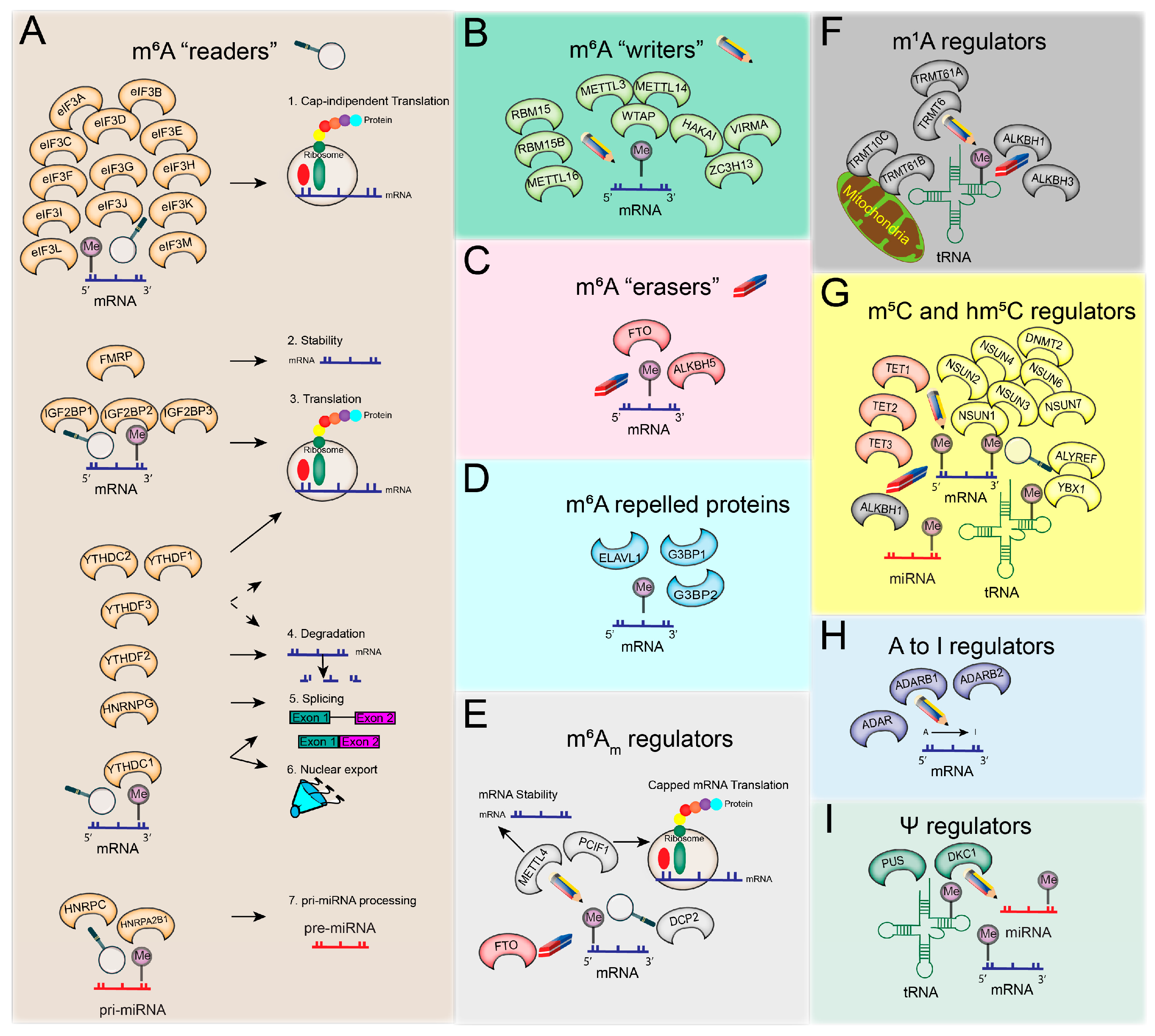 Cancers 15 01232 g001