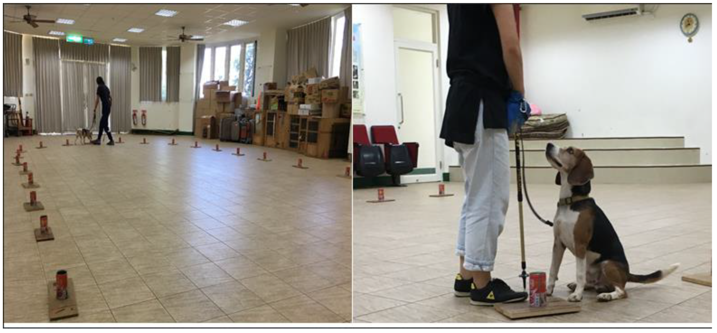 Cancers 15 01234 g001