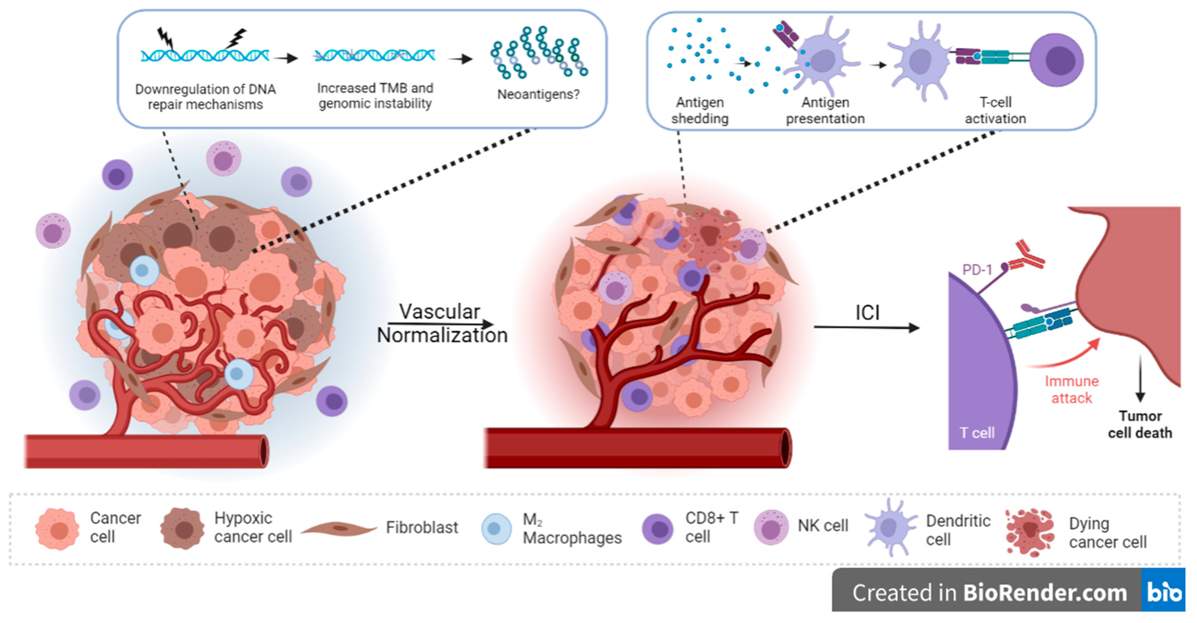Cancers 15 01235 g002