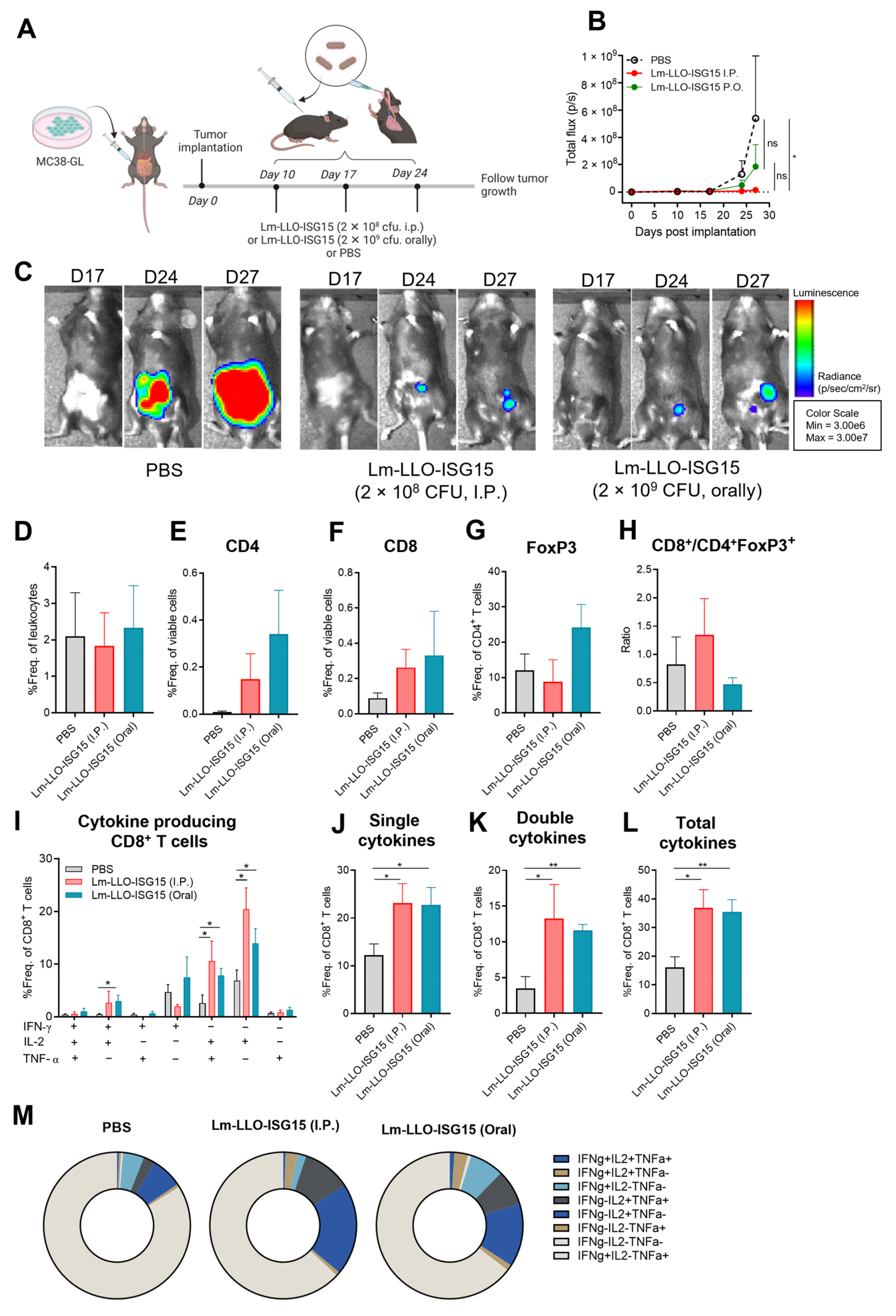 Cancers 15 01237 g004