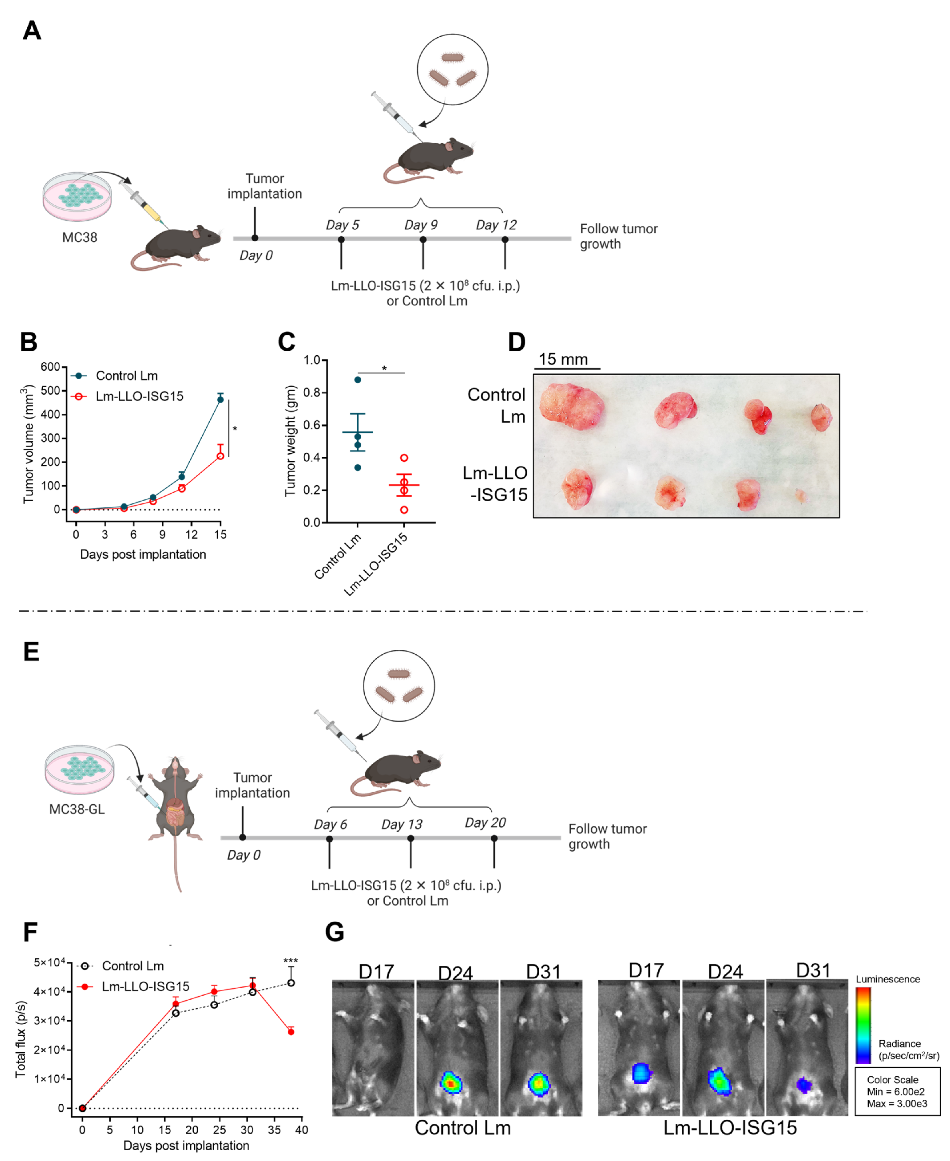 Cancers 15 01237 g005